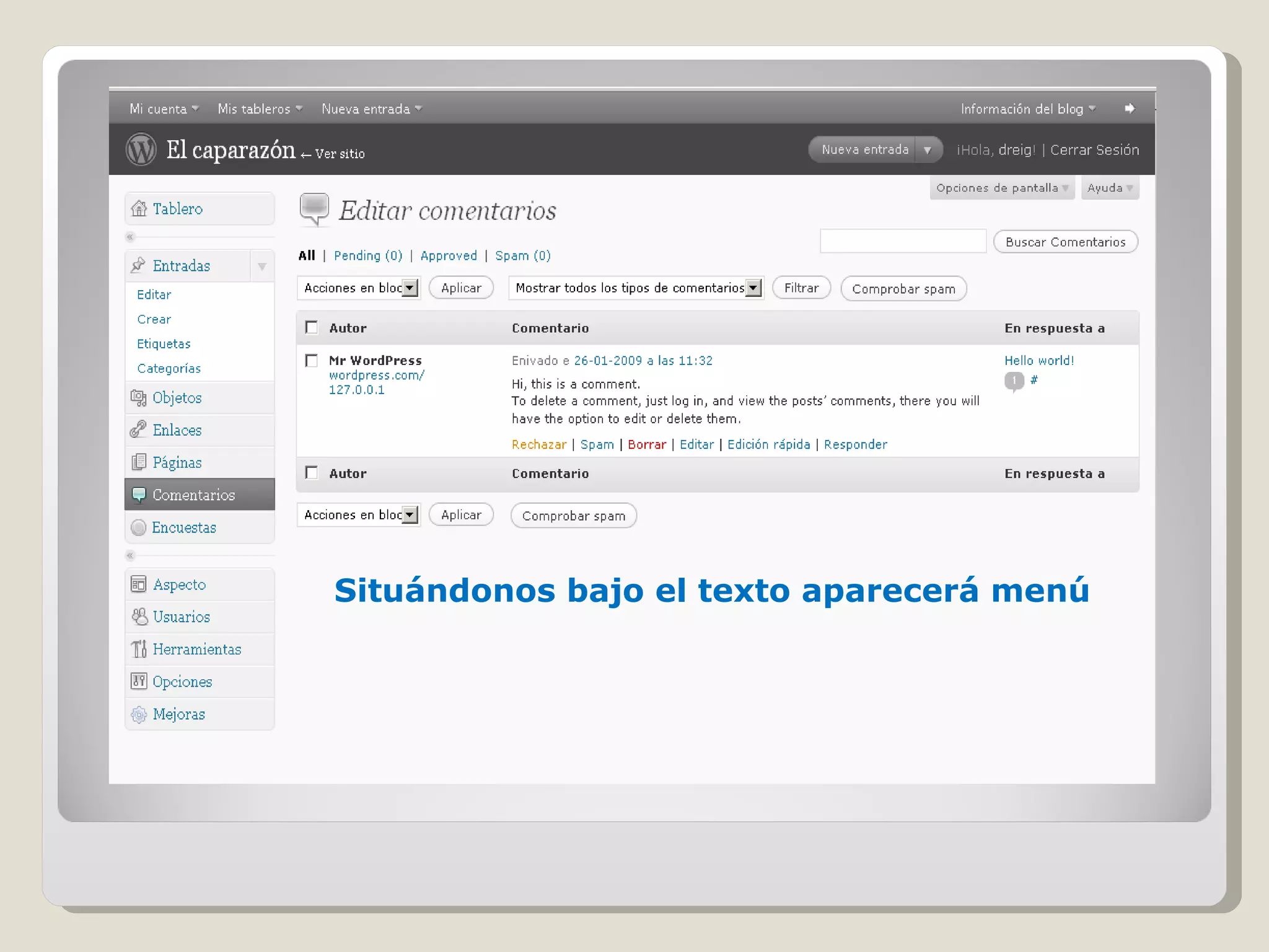 Situ ándonos bajo el texto aparecerá menú 