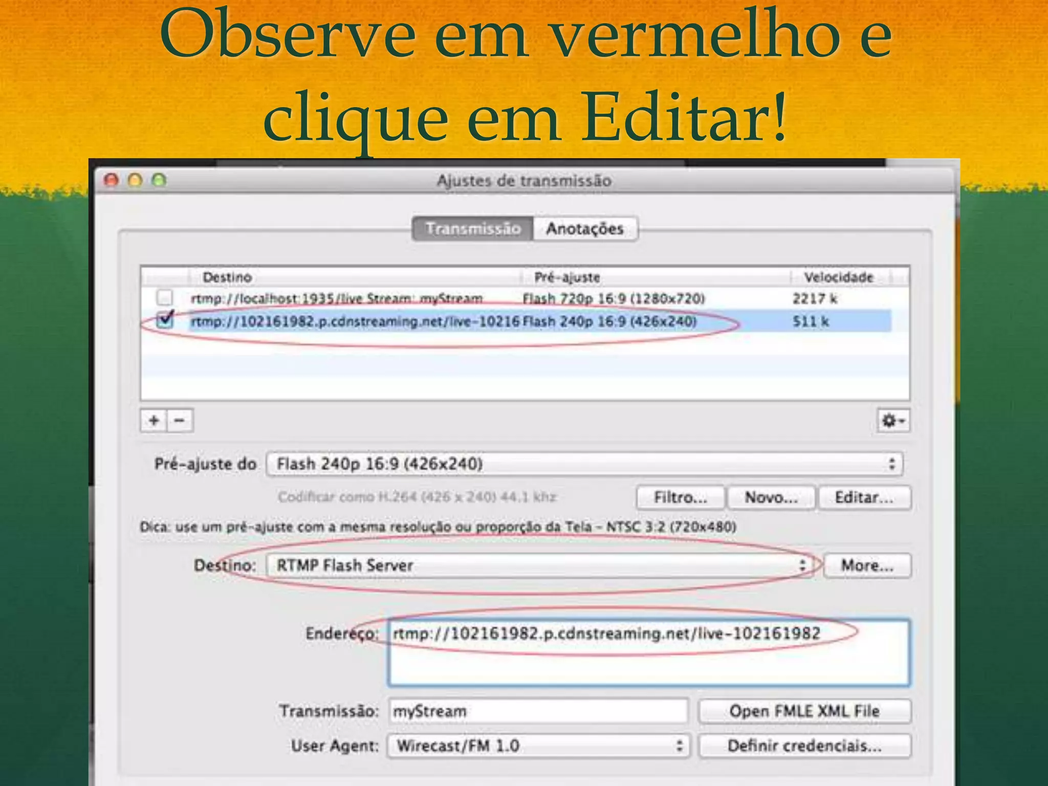 Observe em vermelho e
  clique em Editar!
 