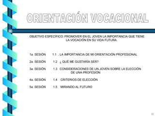 OBJETIVO ESPECÍFICO: PROMOVER EN EL JOVEN LA IMPORTANCIA QUE TIENE LA VOCACIÓN EN SU VIDA FUTURA. 1a. SESIÓN  1.1  . LA IMPORTANCIA DE MI ORIENTACIÓN PROFESIONAL 2a. SESIÓN  1.2  ¿ QUÉ ME GUSTARÍA SER? 3a. SESIÓN  1.3  CONSIDERACIONES DE UN JOVEN SOBRE LA ELECCIÓN DE UNA PROFESIÓN  4a. SESIÓN  1.4  CRITERIOS DE ELECCIÓN 5a. SESIÓN  1.5  MIRANDO AL FUTURO ORIENTACIÓN VOCACIONAL 12 