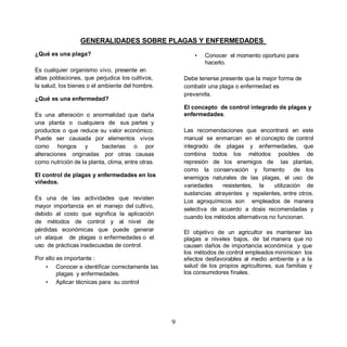 GENERALIDADES SOBRE PLAGAS Y ENFERMEDADES
¿Qué es una plaga?                                         •   Conocer el momento oportuno para
                                                               hacerlo.
Es cualquier organismo vivo, presente en
altas poblaciones, que perjudica los cultivos,         Debe tenerse presente que la mejor forma de
la salud, los bienes o el ambiente del hombre.         combatir una plaga o enfermedad es
                                                       prevenirla.
¿Qué es una enfermedad?
                                                       El concepto de control integrado de plagas y
Es una alteración o anormalidad que daña               enfermedades.
una planta o cualquiera de sus partes y
productos o que reduce su valor económico.             Las recomendaciones que encontrará en este
Puede ser causada por elementos vivos                  manual se enmarcan en el concepto de control
como hongos y             bacterias o por              integrado de plagas y enfermedades, que
alteraciones originadas por otras causas               combina todos los métodos posibles de
como nutrición de la planta, clima, entre otras.       represión de los enemigos de las plantas,
                                                       como la conservación y fomento             de los
El control de plagas y enfermedades en los             enemigos naturales de las plagas, el uso de
viñedos.
                                                       variedades    resistentes, la     utilización de
                                                       sustancias atrayentes y repelentes, entre otros.
Es una de las actividades que revisten
                                                       Los agroquímicos son empleados de manera
mayor importancia en el manejo del cultivo,
                                                       selectiva de acuerdo a dosis recomendadas y
debido al costo que significa la aplicación
                                                       cuando los métodos alternativos no funcionan.
de métodos de control y al nivel de
pérdidas económicas que puede generar                  El objetivo de un agricultor es mantener las
un ataque de plagas o enfermedades o el                plagas a niveles bajos, de tal manera que no
uso de prácticas inadecuadas de control.               causen daños de importancia económica y que
                                                       los métodos de control empleados minimicen los
Por ello es importante :                               efectos desfavorables al medio ambiente y a la
    • Conocer e identificar correctamente las          salud de los propios agricultores, sus familias y
         plagas y enfermedades.                        los consumidores finales.
    • Aplicar técnicas para su control




                                                   9
 
