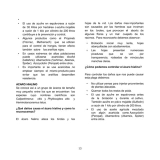 •
 •   El uso de azufre en espolvoreos a razón                 hojas de la vid. Los daños mas importantes
     de 30 Kilos por hectárea o azufre mojable               son causados por las hembras que invernan
     a razón de 1 kilo por cilindro de 200 litros            en los brotes, que provocan el aborto de
     contribuye a la prevención y control,                   algunas flores y un mal cuajado de los
 •   Algunos productos como el Propineb                      racimos. Para reconocerlo debemos observar:
     (Fitorraz, Metharrach) que se utilizan                   •   Brotación inicial muy lenta, hojas
     para el control de hongos, tienen efecto                     abarquilladas con abultamientos.
     también sobre las arañitas rojas.                        •   Las     hojas     presentan     numerosas
 •   En casos extremos de altas poblaciones                       picaduras      que      se    ven     por
     puede      utilizarse   acaricidas: dicofol                  transparencia, rodeadas de minúsculas
     (keltahne); Abamectina (Vertimec, Abamex,                    manchas claras.
     Spider); Azocyclotin (Peropal) entre otros.
 •   Es importante si se usa acaricidas no                   ¿Cómo podemos controlar el ácaro hialino?
     emplear siempre el mismo producto para
     evitar que las arañitas desarrollen                     Para controlar los daños que nos puede causar
     resistencia.                                            esta plaga debemos:

ACARO HIALINO                                                 •   No utilizar yemas para injertar provenientes
Se conoce así a un grupo de ácaros de tamaño                      de plantas atacadas.
muy pequeño entre los que se encuentran las                   •   Quemar todos los restos de poda.
especies cuyo nombres científicos son                         •   El uso de azufre en espolvoreos antes
Calipetrimerus vitis y Phyllocoptes vitis y                       de la brotación y durante el cultivo.
Heminotarsonemus latus.                                           También azufre en polvo mojable (Sulfodin)
                                                                  a razón de 1 kilo por cilindro de 200 litros.
¿Qué daños causa el ácaro hialino y como lo                   •   El uso de aceite agrícola mezclado
reconocemos?                                                      con algún acaricida como Azocyclotin
                                                                  (Peropal), Abamectina (Abamex, Spider)
El   ácaro   hialino   ataca   los   brotes   y   las             entre otros.




                                                        13
 