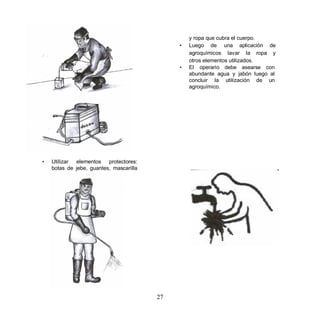 y ropa que cubra el cuerpo.
                                              •   Luego de una aplicación de
                                                  agroquímicos lavar la ropa y
                                                  otros elementos utilizados.
                                              •   El operario debe asearse con
                                                  abundante agua y jabón luego al
                                                  concluir la utilización de un
                                                  agroquímico.




•   Utilizar elementos protectores:
    botas de jebe, guantes, mascarilla




                                         27
 