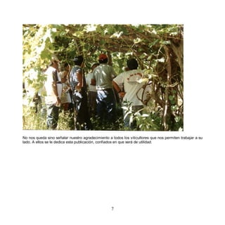 No nos queda sino señalar nuestro agradecimiento a todos los viticultores que nos permiten trabajar a su
lado. A ellos se le dedica esta publicación, confiados en que será de utilidad.




                                                   7
 