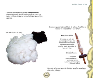 Ngurekan , Trabajo en Telar




Cuando la lana está seca sigue el ruen kall obisa o
escarmenado de la lana de oveja, donde se estira con
mucho cuidado, sin que se corte, hasta que quede bien
separada.




                                                               Después sigue el bünw o hilado de la lana. Para hilar se
                                                                     necesita un huso de hilar y una tortera.

Kall obisa: Lana de oveja
                                                                                Kuliü: Huso de hilar

                                                                                El huso es un palo con
                                                                              punta de gancho que gira
                                                                              enrollando la lana torcida,
                                                                               puede ser de diferentes
                                                                            tamaños según la cantidad de
                                                                                    lana para hilar.


                                                                                         Chinküd: Tortera

                                                                                              La tortera
                                                                                       es una piedra con
                                                                                         un hoyo al centro
                                                                                      que sirve para hacer girar
                                                                                             y sostener el huso.


                                                           Con esto se forman lanas de distintos tamaños para hacer
                                                           diferentes trabajos.

                                                         4
                                                        Meli
 