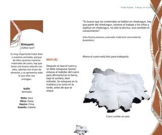 Trülke küdaw , Trabajo en Cuero




                                                                “Es bueno que los contenidos se hablen en chedungun, hay
                                                                que partir del chedungun, mostrar el trabajo a los niños y
                                                                explicar en chedungun, no sólo la técnica, sino también el
                                                                conocimiento”.

                                                                (Elías Pereira,artesano y educador tradicional comunidad de
                                                                Butalelbún).
         Kimuymi:
         ¿Sabías que?

Es muy importante tratar bien
 a nuestros animales, porque                                    Ahora el cuero está listo para trabajarlo.
  de ellos sacamos nuestros     Meli (4):
 materiales de cuero, hay que
tener una buena relación con    Después se lava el cuero y
 ellos, además nos sirven de    se debe estaquear (poner
alimento, y se aprovecha todo   estacas al rededor del cuero
        lo que ellos nos        para afirmarlo) en la tierra,
           entregan.            bajo la sombra, bien
                                estirado. Se estaquea en la
                                mañana y se corta en la
           kullin               tarde, antes de que se
          Animales:             seque.

        Waka: Vaca
        Obisa: Oveja
       Kapüra: Chiva
      Kawellu: Caballo


                                                                                        Cuero curtido sin pelo



                                                            18
                                                          Mari pura
 