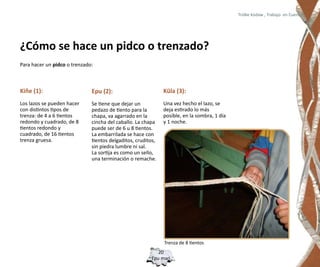 Trülke küdaw , Trabajo en Cuero




¿Cómo se hace un pidco o trenzado?
Para hacer un pidco o trenzado:



Kiñe (1):                     Epu (2):                        Küla (3):
Los lazos se pueden hacer     Se tiene que dejar un           Una vez hecho el lazo, se
con distintos tipos de        pedazo de tiento para la        deja estirado lo más
trenza: de 4 a 6 tientos      chapa, va agarrado en la        posible, en la sombra, 1 día
redondo y cuadrado, de 8      cincha del caballo. La chapa    y 1 noche.
tientos redondo y             puede ser de 6 u 8 tientos.
cuadrado, de 16 tientos       La embarrilada se hace con
trenza gruesa.                tientos delgaditos, cruditos,
                              sin piedra lumbre ni sal.
                              La sortija es como un sello,
                              una terminación o remache.




                                                              Trenza de 8 tientos
                                                           20
                                                        Epu mari
 