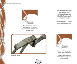 Manual de Tecnologías Productivas




                                                                            Los lazos de cuero son
                                                                               duraderos, bien
                                                                             cuidados durarán de
                                                                            15 a 20 años, después
                                                                              pierden la fuerza.

                                             Kimuymi:                      Durarán de 6 a 7 años si
                                            ¿Sabías que?                    se usan todos los días.
                                      Para mantener los lazos se
                                     deben guardar a la sombra,
                                    y una vez al mes se mojan con
                                           leche de chiva.




                                                                                     Kimuymi:
                                                                                    ¿Sabías que?

                                                                            Las vacas coloradas y negras
                                                                             son de cuero más grueso.

             Botón de cuero                                                   El cuero de vacuno tiene
                                                                           distintos lados, unos gruesos y
                                                                                   otros delgados.
                                                                21
                                                           Epu mari kiñe
 