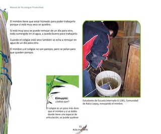 Manual de Tecnologías Productivas




El mimbre tiene que estar húmedo para poder trabajarlo
porque si está muy seco se quiebra.

Si está muy seco se puede remojar de un día para otro,
todo sumergido en el agua, y queda bueno para trabajarlo.

Cuando el coligüe está seco también se echa a remojar en
agua de un día para otro.

El mimbre y el coligüe no son parejos, pero se pelan para
que queden parejos.




                                            Kimuymi:
                                            ¿Sabías que?              Estudiante de Escuela Internado G 1181, Comunidad
                                                                      de Ralco Lepoy, remojando el mimbre.
                                    El coligüe es un poco más duro
                                      que el mimbre y si se dobla
                                      donde tiene una especie de
                                    articulación, se puede quebrar.


                                                                   31
                                                             Küla mari kiñe
 