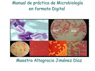 Manual de práctica de Microbiología en formato Digital  Maestra Altagracia Jiménez Díaz 