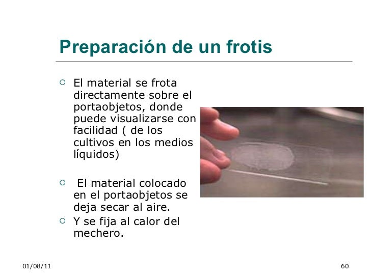 Manual digital de laboratorio de microbiologia