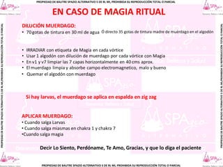 PROPIEDAD DE BAUTRE SPAZIO ALTERNATIVO S DE RL MI, PROHIBIDA SU REPRODUCCIÓN TOTAL O PARCIAL
PROPIEDAD
DE
BAUTRE
SPAZIO
ALTERNATIVO
S
DE
RL
MI,PROHIBIDA
SU
REPRODUCCIÓN
TOTAL
O
PARCIAL
PROPIEDAD
DE
BAUTRE
SPAZIO
ALTERNATIVO
S
DE
RL
MI,PROHIBIDA
SU
REPRODUCCIÓN
TOTAL
O
PARCIAL
PROPIEDAD DE BAUTRE SPAZIO ALTERNATIVO S DE RL MI, PROHIBIDA SU REPRODUCCIÓN TOTAL O PARCIAL
EN CASO DE MAGIA RITUAL
DILUCIÓN MUERDAGO:
• 70 gotas de tintura en 30 ml de agua
• IRRADIAR con etiqueta de Magia en cada vórtice
• Usar 1 algodón con dilución de muerdago por cada vórtice con Magia
• En v1 y v7 limpiar las 7 capas horizontalmente en 40 cms aprox.
• El muerdago limpia y absorbe campo electromagnetico, malo y bueno
• Quemar el algodón con muerdago
APLICAR MUERDAGO:
• Cuando salga Larvas
• Cuando salga miasmas en chakra 1 y chakra 7
•Cuando salga magia
Ó directo 35 gotas de tintura madre de muérdago en el algodón
Si hay larvas, el muerdago se aplica en espalda en zig zag
Decir Lo Siento, Perdóname, Te Amo, Gracias, y que lo diga el paciente
 