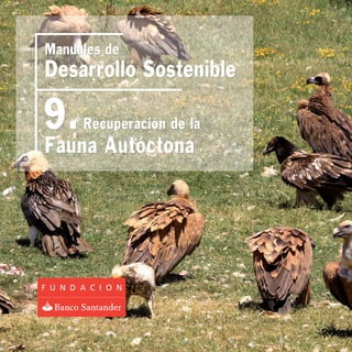 Manuales de
Desarrollo Sostenible

9.   Recuperación de la
Fauna Autóctona
 