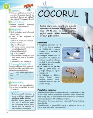 Te provoc!Te provoc!Te provoc!
1 Cine sunt „călăuzii cei străini” ai
primăverii în poezia Rapsodii de
primăvară? Cunoști alți „călăuzi”
ai primăverii? Ai putea să-i descrii?
Înainte de lecturăÎnainte de lecturăÎnainte de lectură
2 Privește imaginile. Recunoști
pasărea? Ce știi despre ea?
Înțeleg textul!Înțeleg textul!Înțeleg textul!
3 Unde poți căuta rapid informații
despre cocor?despre cocor?
4 Caută, în text, răspunsul la
întrebări:
a) Ce fel de pasăre este cocorul?
b) Unde trăiește?
c) Cu ce se hrănește?
d) De unde provine denumirea
științifică a păsării?
e) Unde își face cuibul?
f) În ce țări iernează?
g) În ce țări din Europa sunt cele
mai multe perechi de cuibă-
ritoare?
h) La ce vârstă pot zbura puii?h)
5 În manualul digital
Completează fișa de observație a pă-
sării. Vizionează și materialul multi-
media din manualul digital.media din manualul digital.media din manualul digital.media din manualul digital.
Mascul
Femelă
Lungimea
corpului
Greutate Anvergura
aripilor
ÎnfățișareCOCOR
Privește imaginile. Recunoști
Unde poți căuta rapid informații
Caută, în text, răspunsul la
Ce fel de pasăre este cocorul?
Descriere
Lungimea corpului este de
96-119 cm și are o greutate
de 5.100-6.100 g pentru
mascul și 4.500-5.900 g
pentru femelă.
Anvergura aripilor este cu-
prinsă între 180 și 222 cm. Fe-
melele și masculii au înfăţișare
similară și ajung la penajul
de adult în 4-6 ani.
Are ciocul ascuțit, picioa-
rele și gâtul lungi, iar
penajul este gri, cu o pată
roșie pe cap.
Se hrănește cu rădăcini,
rizomi, fructe, frunze,
seminţe, insecte, viermi,
mamifere mici, ouă și pui de
pasăre, broaște.
Populația cocorilor
Populațiaeuropeanăaspecieiesterelativmică,cuprinsăîntre74.000
și 110.000 de perechi cuibăritoare. Aceasta a scăzut semnificativ
între 1970 și 1990. În România este incert numărul de cuibăritoare.
Tranzitează țara între 200 și 700 de exemplare.
Cele mai mari efective de cocori sunt prezente în Polonia, Finlanda,
Rusia, Suedia.
Cocorii iernează în nordul Africii, dar și în sud-vestul Europei, în
Turcia, Israel, Irak, India, Vietnam, China.
Pasăre migratoare, cocorul este o specie
caracteristică zonelor umede cu adâncime
mică (20-40 cm), ce includ mlaștini,
pajiști umede, păduri inundabile, râuri
și lacuri puțin adânci.
Important!
Toate informațiile referitoare la
aceste păsări sunt exacte, rezul-
tat al unui studiu științiﬁc.
Detaliile despre aspectul lor
fizic pot fi verificate studi-
ind înfățișarea acestei păsări
într-un atlas de zoologie sau
într-un manual de biologie.
Explorez textul!Explorez textul!Explorez textul!
6 Identifică în text patru adjective.6 Identifică în text patru adjective.
7 La ce timp sunt verbele din text?
Ce observi?
Textul nonliterar descriptiv
114
4
 