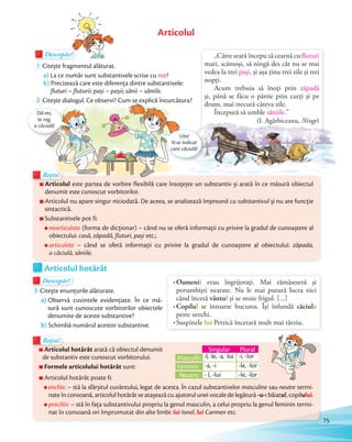 Articolul este partea de vorbire flexibilă care însoţește un substantiv și arată în ce măsură obiectul
denumit este cunoscut vorbitorilor.
Articolul nu apare singur niciodată. De aceea, se analizează împreună cu substantivul și nu are funcţie
sintactică.
Substantivele pot fi:
nearticulate (forma de dicţionar) – când nu se oferă informaţii cu privire la gradul de cunoaștere al
obiectului: casă, zăpadă, fluturi, pași etc.;
articulate – când se oferă informaţii cu privire la gradul de cunoaștere al obiectului: zăpada,
o căciulă, săniile.
Articolul
Rețin!Rețin!Rețin!
Articolul
Descopăr!Descopăr!Descopăr!
1 Citește fragmentul alăturat.
a) La ce număr sunt substantivele scrise cu roz?
b) Precizează care este diferenţa dintre substantivele:
fluturi – fluturii; pași – pașii; sănii – săniile.
2 Citește dialogul. Ce observi? Cum se explică încurcătura?
„Către seară începu să cearnă cu fluturi
mari, scămoşi, să ningă des cât nu se mai
vedea la trei paşi, şi aşa ţinu trei zile şi trei
nopţi.
Acum trebuia să înoţi prin zăpadă
şi, până se făcu o pârtie prin curţi şi pe
drum, mai trecură câteva zile.
Începură să umble săniile.”
(I. Agârbiceanu, Ninge)
Oamenii erau îngrijoraţi. Mai rămăseseră şi
porumbişti nearate. Nu le mai putură lucra nici
când încetă vântul şi se muie frigul. [...]
Copilul se întoarse bucuros. Îşi înfundă căciula
peste urechi.
Suspinele lui Petrică încetară mult mai târziu.
Descopăr!Descopăr!
(I. Agârbiceanu, Ninge)Ninge)Ninge
Descopăr!Descopăr!Descopăr!
3 Citește enunțurile alăturate.
a) Observă cuvintele evidențiate. În ce mă-
sură sunt cunoscute vorbitorilor obiectele
denumite de aceste substantive?
b) Schimbă numărul acestor substantive.
Articolul hotărât
Rețin!Rețin!Rețin!
Citește dialogul. Ce observi? Cum se explică încurcătura?Citește dialogul. Ce observi? Cum se explică încurcătura?
Dă-mi,
te rog,
o căciulă!
Uite!
N-ai indicat
care căciulă!
Rețin!Rețin!
Articolul hotărât arată că obiectul denumit
de substantiv este cunoscut vorbitorului.
Formele articolului hotărât sunt:
Articolul hotărât poate fi:
enclitic – stă la sfârșitul cuvântului, legat de acesta. În cazul substantivelor masculine sau neutre termi-
nate în consoană, articolul hotărât se atașează cu ajutorul unei vocale de legătură -u-: băiatul, copilului.
proclitic – stă în faţa substantivului propriu la genul masculin, a celui propriu la genul feminin termi-
nat în consoană ori împrumutat din alte limbi: lui Ionel, lui Carmen etc.
Masculin
Singular Plural
Feminin
Neutru
-l, -le, -a, -lui
-a, -i
- l, -lui -le, -lor
-le, -lor
-i, -lor
75
 