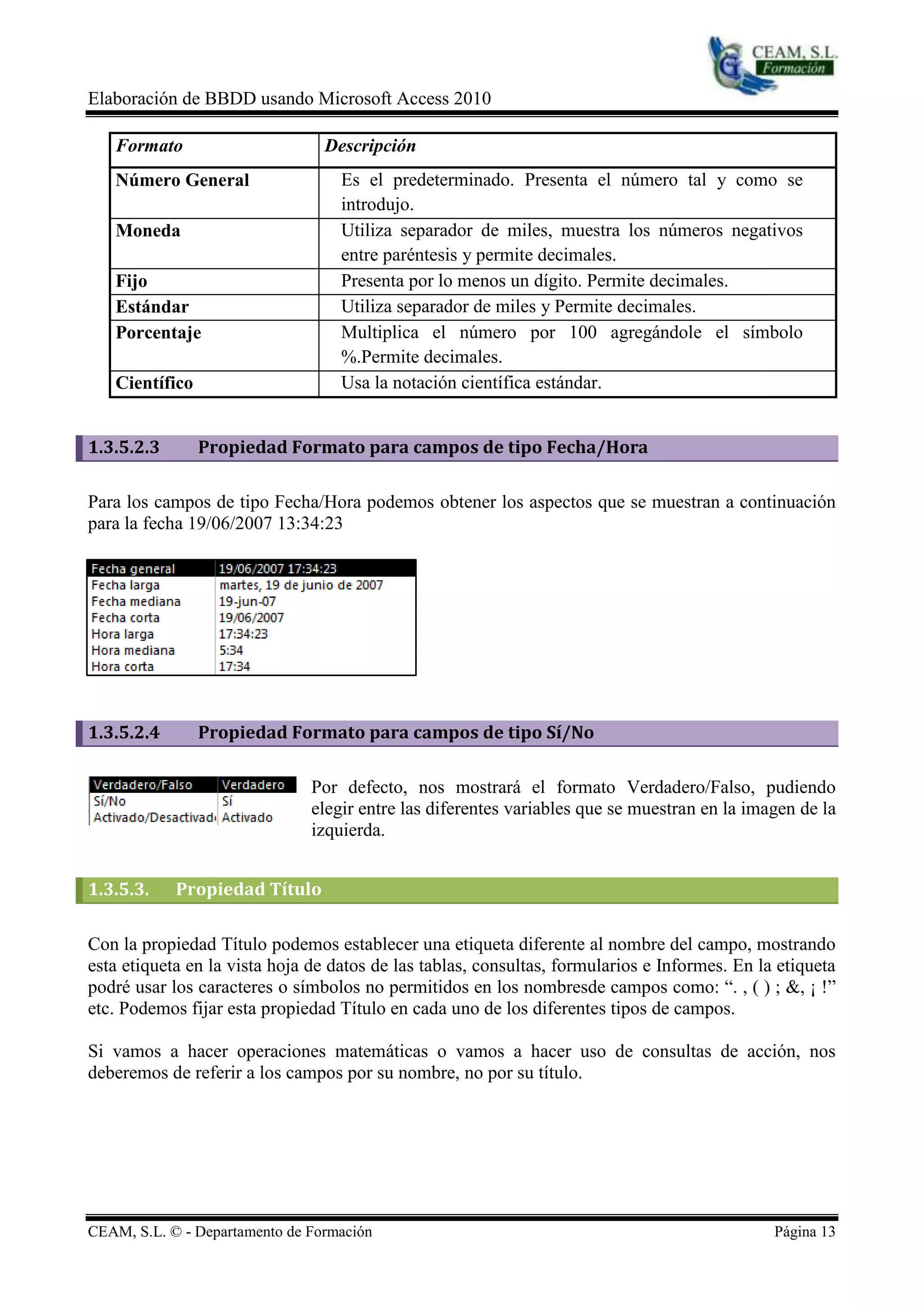 Elaboración de BBDD usando Microsoft Access 2010

   Formato                       Descripción
   Número General                  Es el predeterminado. Presenta el número tal y como se
                                   introdujo.
   Moneda                          Utiliza separador de miles, muestra los números negativos
                                   entre paréntesis y permite decimales.
   Fijo                            Presenta por lo menos un dígito. Permite decimales.
   Estándar                        Utiliza separador de miles y Permite decimales.
   Porcentaje                      Multiplica el número por 100 agregándole el símbolo
                                   %.Permite decimales.
   Científico                      Usa la notación científica estándar.


1.3.5.2.3       Propiedad Formato para campos de tipo Fecha/Hora

Para los campos de tipo Fecha/Hora podemos obtener los aspectos que se muestran a continuación
para la fecha 19/06/2007 13:34:23




1.3.5.2.4       Propiedad Formato para campos de tipo Sí/No

                               Por defecto, nos mostrará el formato Verdadero/Falso, pudiendo
                               elegir entre las diferentes variables que se muestran en la imagen de la
                               izquierda.


1.3.5.3.    Propiedad Título

Con la propiedad Título podemos establecer una etiqueta diferente al nombre del campo, mostrando
esta etiqueta en la vista hoja de datos de las tablas, consultas, formularios e Informes. En la etiqueta
podré usar los caracteres o símbolos no permitidos en los nombresde campos como: “. , ( ) ; &, ¡ !”
etc. Podemos fijar esta propiedad Título en cada uno de los diferentes tipos de campos.

Si vamos a hacer operaciones matemáticas o vamos a hacer uso de consultas de acción, nos
deberemos de referir a los campos por su nombre, no por su título.




CEAM, S.L. © - Departamento de Formación                                                       Página 13
 