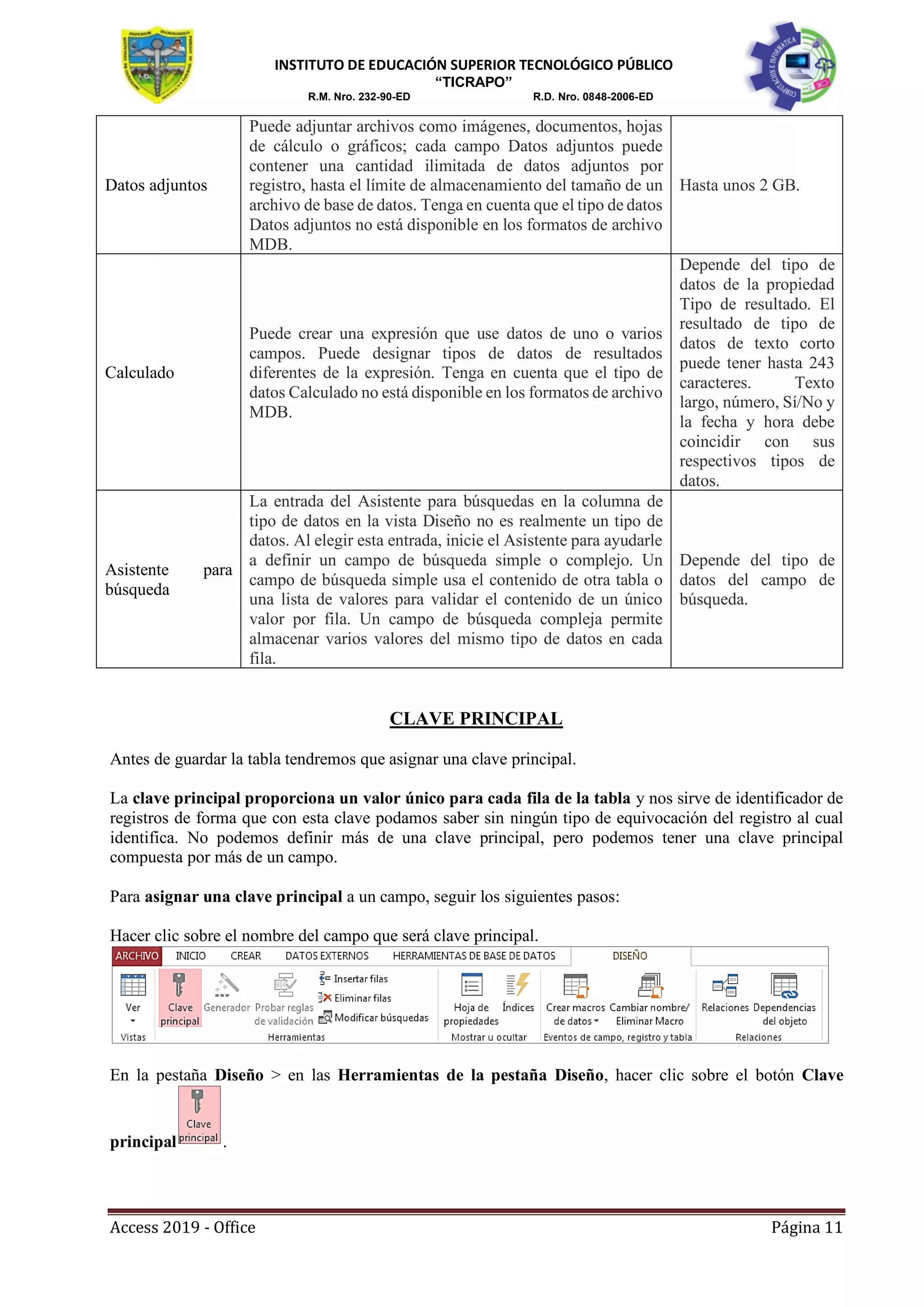 Manual access 2019 (1)