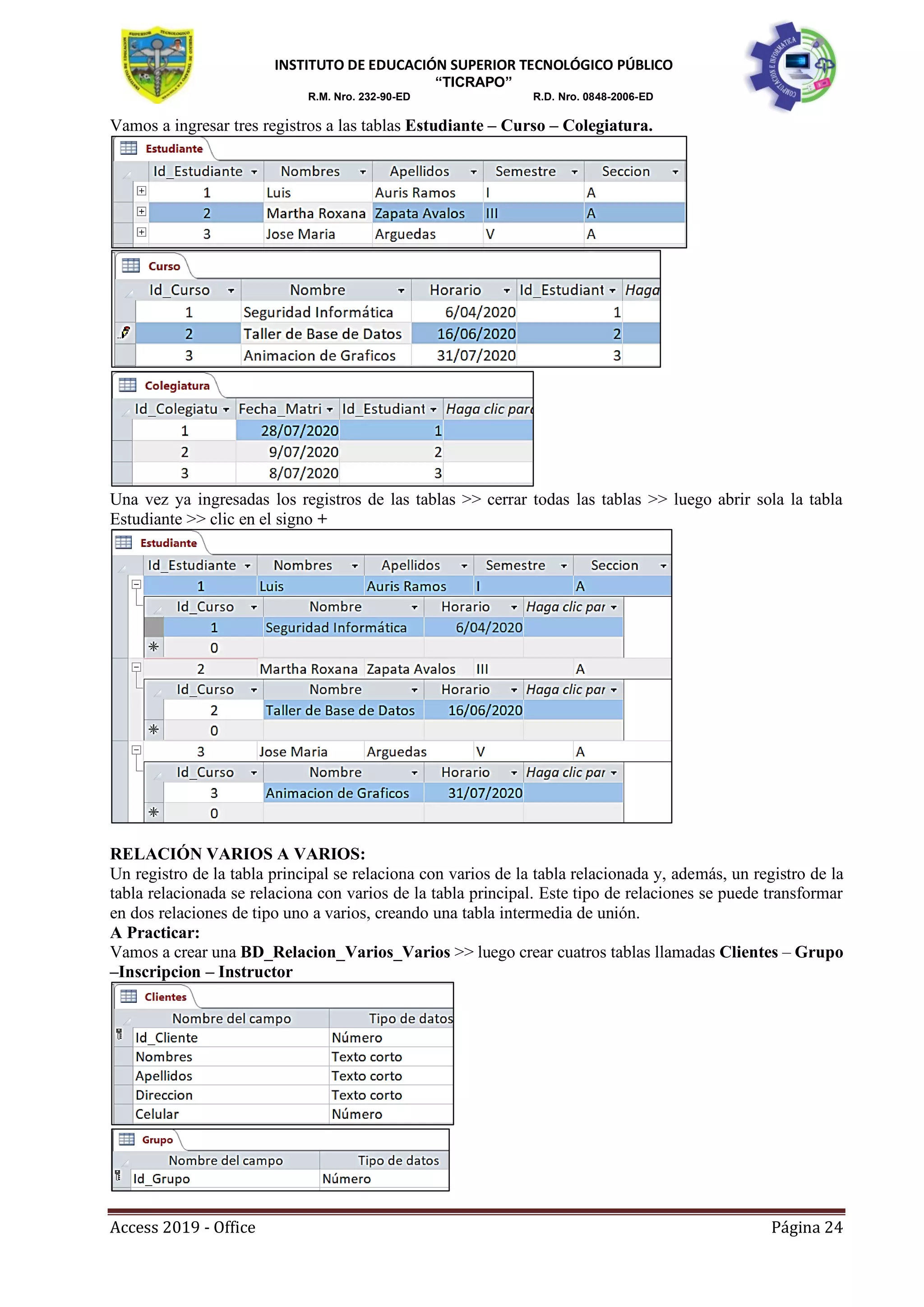 Manual access 2019 (1)