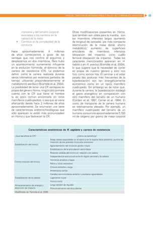 MANUAL DIRECTOR DE ACTIVIDAD FISICA Y SALUD DE LA REPUBLICA ARGENTINA   23




       craneana y del tamaño corporal                             Otras modificaciones presentes en Homo,
       asociados a los cambios en la                              que también son útiles para la marcha, son
       calidad de la dieta.                                       los miembros inferiores largos (aumento
    	 Cambios en la complejidad de la                            de longitud de zancada), pie más compacto
       conducta.                                                  (disminución de la masa distal, ahorro
                                                                  metabólico), aumento de superficies
Hace      aproximadamente     4     millones                      articulares    de     miembros       inferiores
de años comenzamos a gozar de las                                 (disipación del impacto), corto cuello
ventajas que nos confirió el erguirnos y                          femoral (disipación de impacto). Todas los
desplazarnos en dos miembros. Pero hubo                           caracteres mencionados aparecen en H.
un acontecimiento sumamente influyente                            habilis o en H. erectus (Bramble et al, 2004),
en la evolución homínida: el dominio de la                        lo que sugiere que la necesidad de correr
carrera de resistencia (CR). La podemos                           es propia de nuestro género y esto nos
definir como la carrera realizada durante                         hizo como somos hoy. El caminar y el estar
varios kilómetros por extensos períodos de                        parado (las posturas más frecuentes de la
tiempo utilizando preponderantemente el                           bipedestación) son tan energéticamente
metabolismo aeróbico (Bramble et al, 2004).                       económico como en un típico mamífero
La posibilidad de tener una CR ventajosa es                       cuadrúpedo. Sin embargo es de notar que,
propia del género Homo, ningún otro primate                       durante la carrera, la bipedestación doblegó
cuenta con la CR que tiene el hombre                              el gasto energético en comparación con
(y es poco común encontrarla en otros                             otro mamífero del tamaño de un humano
mamíferos cuadrúpedos), o sea que se viene                        (Cordain et al, 1997; Carrier et al, 1984). El
afianzando desde hace 2 millones de años                          costo de transporte de la carrera humana
aproximadamente. Se enumeran una serie                            es relativamente elevado. Por ejemplo, un
de características anátomo-fisiológicas que                       mamífero cuadrúpedo del tamaño de un
sólo aparecen (o están más pronunciadas)                          humano consumiría aproximadamente 0,100
en Homo y que favorecen la CR.                                    ml de oxígeno por gramo de masa corporal



                Características anatómicas de H. sapiens y carrera de resistencia

  ¿Que beneficia la CR?                                                ¿Cómo se beneficia?
                                         Áreas óseas expandidas en el sacro y en la espina ilíaca posterior, puntos de
                                         inserción de los grandes músculos erectores
  Estabilización del tronco
                                         Agrandamiento del músculo glúteo mayor
                                         Estabilización de la articulación sacro-ilíaca
                                         Rotación aislada del tronco en relación a la cadera
                                         Independencia estructural entre la región pectoral y la cabeza
                                         Hombros amplios y bajos
  Contra rotación del tronco
                                         Pelvis y tórax estrechos
                                         Cintura estrecha y larga
                                         Antebrazos cortos
                                         Canales semicirculares anterior y posterior agrandados
  Estabilización de la cabeza            Ligamento nucal
                                         Hocico corto
  Almacenamiento de energía y            Largo tendón de Aquiles
  absorción de impacto                   Pronunciamiento del arco plantar
  Modificado de: Farinola et al, 2006.
 