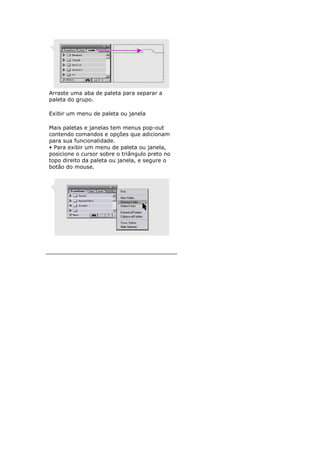 Arraste uma aba de paleta para separar a
paleta do grupo.

Exibir um menu de paleta ou janela

Mais paletas e janelas tem menus pop-out
contendo comandos e opções que adicionam
para sua funcionalidade.
• Para exibir um menu de paleta ou janela,
posicione o cursor sobre o triângulo preto no
topo direito da paleta ou janela, e segure o
botão do mouse.
 
