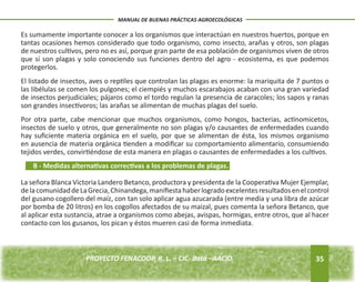 Es sumamente importante conocer a los organismos que interactúan en nuestros huertos, porque en 
tantas ocasiones hemos considerado que todo organismo, como insecto, arañas y otros, son plagas 
de nuestros cultivos, pero no es así, porque gran parte de esa población de organismos viven de otros 
que sí son plagas y solo conociendo sus funciones dentro del agro - ecosistema, es que podemos 
protegerlos. 
El listado de insectos, aves o reptiles que controlan las plagas es enorme: la mariquita de 7 puntos o 
las libélulas se comen los pulgones; el ciempiés y muchos escarabajos acaban con una gran variedad 
de insectos perjudiciales; pájaros como el tordo regulan la presencia de caracoles; los sapos y ranas 
son grandes insectívoros; las arañas se alimentan de muchas plagas del suelo. 
Por otra parte, cabe mencionar que muchos organismos, como hongos, bacterias, actinomicetos, 
insectos de suelo y otros, que generalmente no son plagas y/o causantes de enfermedades cuando 
hay suficiente materia orgánica en el suelo, por que se alimentan de ésta, los mismos organismo 
en ausencia de materia orgánica tienden a modificar su comportamiento alimentario, consumiendo 
tejidos verdes, convirtiéndose de esta manera en plagas o causantes de enfermedades a los cultivos. 
La señora Blanca Victoria Landero Betanco, productora y presidenta de la Cooperativa Mujer Ejemplar, 
de la comunidad de La Grecia, Chinandega, manifiesta haber logrado excelentes resultados en el control 
del gusano cogollero del maíz, con tan solo aplicar agua azucarada (entre media y una libra de azúcar 
por bomba de 20 litros) en los cogollos afectados de su maizal, pues comenta la señora Betanco, que 
al aplicar esta sustancia, atrae a organismos como abejas, avispas, hormigas, entre otros, que al hacer 
contacto con los gusanos, los pican y éstos mueren casi de forma inmediata. 
35 
MANUAL DE BUENAS PRÁCTICAS AGROECOLÓGICAS 
B - Medidas alternativas correctivas a los problemas de plagas. 
PROYECTO FENACOOP, R. L. – CIC- Batá –AACID. 
 