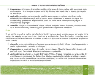 2. Preparación: 30 gramos de semillas molidas, 20 gramos de torta molida u 80 gramos de hojas 
molidas para 1 litro de agua. Esperar entre 5 y 8 horas, mezclando bien el líquido; filtrar para 
la aplicación. 
4. Atención: no afecta a animales de sangre caliente, tampoco a seres humanos, no se acumula 
El ajo 
El ajo por lo general se cultiva para la alimentación humana pero también puede ser usado en la 
protección vegetal como insecticida, fungicida y antibacterial. Tanto los bulbos como las hojas 
contienen sustancias activas que se pueden extraer con agua, o el aceite con una prensa, y aplicarlas 
en los cultivos. 
1. Controla: larvas de lepidópteros (gusanos que se comen el follaje), áfidos, chinches pequeños y 
2. Preparación: se muelen 2 libras del bulbo y se mezcla con 20 cucharitas de jabón líquido en 1 
3. Aplicación: de la solución se mezcla 1 litro con 20 litros de agua y se aplica con una bomba de 
mochila por lo menos cada 6 a 8 días. Para fabricar productos formulados se utilizan especies 
que tienen un alto contenido de las sustancias activas y se cultiva este tipo especialmente con 
el propósito de sacar el aceite para ser formulado. 
37 
MANUAL DE BUENAS PRÁCTICAS AGROECOLÓGICAS 
3. Aplicación: se aplica con una bomba mochila temprano en la mañana o tarde en el día, 
cubriendo bien toda la superficie de la planta, especialmente en el revés de las hojas. Por 
lo menos hay que realizar 3 aplicaciones (cada 6 a 8 días entre cada aplicación) según la 
incidencia de las plagas. 
en el medio ambiente y tiene muy poco efecto contra organismos benéficos. 
varias enfermedades causadas por hongos. 
galón de agua. Después de 4 horas se cuela para la aplicación. 
PROYECTO FENACOOP, R. L. – CIC- Batá –AACID. 
 