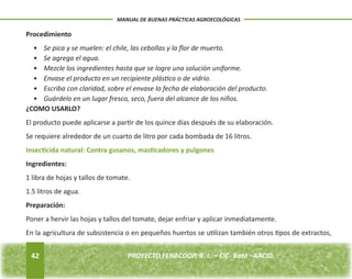 42 
MANUAL DE BUENAS PRÁCTICAS AGROECOLÓGICAS 
PROYECTO FENACOOP, R. L. – CIC- Batá –AACID. Procedimiento 
• Se pica y se muelen: el chile, las cebollas y la flor de muerto. 
• Se agrega el agua. 
• Mezcle los ingredientes hasta que se logre una solución uniforme. 
• Envase el producto en un recipiente plástico o de vidrio. 
• Escriba con claridad, sobre el envase la fecha de elaboración del producto. 
• Guárdelo en un lugar fresco, seco, fuera del alcance de los niños. 
¿COMO USARLO? 
El producto puede aplicarse a partir de los quince días después de su elaboración. 
Se requiere alrededor de un cuarto de litro por cada bombada de 16 litros. 
Insecticida natural: Contra gusanos, masticadores y pulgones 
Ingredientes: 
1 libra de hojas y tallos de tomate. 
1.5 litros de agua. 
Preparación: 
Poner a hervir las hojas y tallos del tomate, dejar enfriar y aplicar inmediatamente. 
En la agricultura de subsistencia o en pequeños huertos se utilizan también otros tipos de extractos, 
 