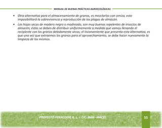 almacén, éstas se deben de distribuir uniformemente a medida que vamos llenando el 
recipiente con los granos debidamente secos; el inconveniente que presenta esta alternativa, es 
que una vez que extraemos los granos para el aprovechamiento, se debe hacer nuevamente la 
limpieza de los mismos. 
55 
MANUAL DE BUENAS PRÁCTICAS AGROECOLÓGICAS 
• Otra alternativa para el almacenamiento de granos, es mezclarlos con ceniza, esto 
imposibilitará la sobrevivencia y reproducción de las plagas de almacén. 
• Las hojas secas de madero negro o madreado, son muy buenas repelentes de insectos de 
PROYECTO FENACOOP, R. L. – CIC- Batá –AACID. 
 