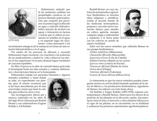 Hahnemann estipuló que
la las sustancias cambian sus
propiedades curativas en un
proceso llamado potencialización que conjunta dos procesos: en primer lugar la dilución
en agua o solución hidroalcohólica (mezcla de alcohol con
agua) o trituración en lactosa
o azúcar que se utiliza en susChristian Samuel Hahnemann tancias no solubles en el agua;
((1755-1843)
y en segundo lugar las sucusiones –como denominó a los
movimientos enérgicos de la sustancia en forma de una solución hidroalcohólica o en el agua.
Por medio de los procesos de dilución y sucusión
Hahnemann logró enumerar con exactitud a las potencias
de sus medicamentos y dedicó la vida a observar sus efectos en los organismos vivos para después lograr resultados
de curación repetibles.
Su libro Organon es la obra de consulta básica para todo
el homeópata hasta los días actuales y contiene definiciones y descripciones básicas en la homeopatía.
Hahnemann trabajó con pacientes humanos y algunos
animales (caballos), y hasta donde
se sabe, no experimentó con plantas, pero él mismo reconocía que
si las leyes descubiertas por él eran
universales, tenían que tener la validez para todos los seres vivos.
Sus investigaciones dieron pie a
ensayos realizados en los años 30
del siglo XX en Alemania por Rudolf
Steiner y sus colaboradores: Eugene
Kolísko y Lili Kolísko.

Rudolf Steiner, en cuyo sistema de antroposofía y agricultura biodinámica se mezclan
ideas religiosas y científicas,
redujo el enorme listado de
las medicinas homeopáticas,
propuso y usó sólo nueve sustancias básicas para atender
un cultivo agrícola, manejar
cualquier plaga o enfermedad
y mantener a la tierra junto Rudolf Steiner (1861-1925)
con los cultivos en estado de
salud y fertilidad.
Estos son los nueve remedios que utilizaba Steiner en
sus granjas biodinámicas:
Achilea millefolium (Milenrama)
Chamomilla officinalis (Manzanilla)
Equisetum arvense (Cola de Caballo)
Estiércol bovino añejado en un cuerno
Quercus robur (corteza de Encino)
Taraxacum officinale (Diente de León)
Urtica dioica (Ortiga)
Valeriana officinalis (Valeriana)
Cuarzo de rocas silícicas (Silicea terra)

18

19

Lili Kolísko ( 1889-1976)

Lo interesante es que los nueve remedios pueden conseguirse incluso en una localidad bastante apartada de la sierra de México y los productores biodinámicos, seguidores
de Steiner, los utilizan con éxito hasta ahora.
Lili Kolísko y Eugen Kolísko (1893-1939), esposos contemporáneos a Rudolf Steiner, observaron los efectos de la
posición de los planetas en la elevación capilar, documentaron cómo la luna, el mercurio y otros planetas influyen en
el vigor de las plantas, en su crecimiento, en su fertilidad
y realizaron los primeros experimentos agrohomeopáticos,

 