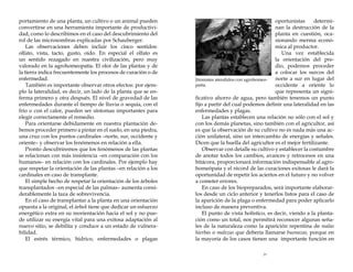 portamiento de una planta, un cultivo o un animal pueden
convertirse en una herramienta importante de productividad, como lo describimos en el caso del descubrimiento del
rol de las microsombras explicadas por Schauberger.
Las observaciones deben incluir los cinco sentidos:
olfato, vista, tacto, gusto, oído. En especial el olfato es
un sentido rezagado en nuestra civilización, pero muy
valorado en la agrohomeopatía. El olor de las plantas y de
la tierra indica frecuentemente los procesos de curación o de
enfermedad.
También es importante observar otros efectos: por ejemplo la lateralidad, es decir, un lado de la planta que se enferma primero y otra después. El nivel de gravedad de las
enfermedades durante el tiempo de lluvia o sequía, con el
frío o con el calor, pueden ser síntomas importantes para
elegir correctamente el remedio.
Para orientarse debidamente en nuestra plantación debemos proceder primero a pintar en el suelo, en una piedra,
una cruz con los puntos cardinales –norte, sur, occidente y
oriente– y observar los fenómenos en relación a ella.
Pronto descubriremos que los fenómenos de las plantas
se relacionan con más insistencia –en comparación con los
humanos– en relación con los cardinales. Por ejemplo hay
que respetar la orientación de las plantas –en relación a los
cardinales en caso de transplante.
El simple hecho de respetar la orientación de los árboles
transplantados –en especial de las palmas– aumenta considerablemente la taza de sobrevivencia.
En el caso de transplantar a la planta en una orientación
opuesta a la original, el árbol tiene que dedicar un esfuerzo
energético extra en su reorientación hacia el sol y no puede utilizar su energía vital para una exitosa adaptación al
nuevo sitio, se debilita y conduce a un estado de vulnerabilidad.
El estrés térmico, hídrico, enfermedades o plagas

oportunistas
determinan la destrucción de la
planta en cuestión, ocasionando merma económica al productor.
Una vez establecida
la orientación del predio, podemos proceder
a colocar los surcos del
norte a sur en lugar del
Jitomates atendidos con agrohomeopatía.
occidente a oriente lo
que representa un significativo ahorro de agua, pero también tenemos un punto
fijo a partir del cual podemos definir una lateralidad en las
enfermedades y plagas.
Las plantas establecen una relación no sólo con el sol y
con los demás planetas, sino también con el agricultor, así
es que la observación de su cultivo no es nada más una acción unilateral, sino un intercambio de energías y señales.
Dicen que la huella del agricultor es el mejor fertilizante.
Observar con detalle su cultivo y establecer la costumbre
de anotar todos los cambios, avances y retrocesos en una
bitácora, proporcionará información indispensable al agrohomeópata y el récord de las curaciones exitosas le dará la
oportunidad de repetir los aciertos en el futuro y no volver
a cometer errores.
En caso de los biopreparados, será importante elaborarlos desde un ciclo anterior y tenerlos listos para el caso de
la aparición de la plaga o enfermedad para poder aplicarlo
incluso de manera preventiva.
El punto de vista holístico, es decir, viendo a la plantación como un total, nos permitirá reconocer algunas señales de la naturaleza como la aparición repentina de malas
hierbas o malezas que debería llamarse buenazas, porque en
la mayoría de los casos tienen una importante función en
29

 