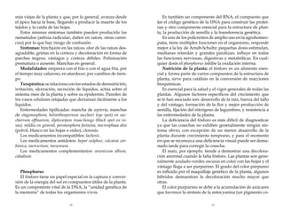 más viejas de la planta y que, por lo general, avanza desde
el ápice hacia la base, llegando a producir la muerte de los
tejidos y la caída de las hojas.
Estos mismos síntomas también pueden producirlo los
nematodos (asfixia radicular, daños en raíces, otras carencias) por lo que hay riesgo de confusión.
Síntomas: hinchazón en las raíces, olor de las raíces desagradable, grietas en la corteza y decoloración en forma de
parches negros; vástagos y corteza débiles. Polinización
prematura o ausente. Manchas en general.
Modalidades: empeora con el frío o con el agua fría, por
el tiempo muy caluroso, en atardecer, por cambios de tiempo.
Terapéutica: se relaciona con los estados de desnutrición,
irritación, ulceración, secreción de líquidos, actúa sobre el
sistema óseo de la planta y sobre su epidermis. Paredes de
los vasos celulares relajadas que derraman fácilmente a los
líquidos.
Enfermedades tipificadas: mancha de septoria, manchas
de stagonosphora, helmithosporium sacchari (eye spot) en saccharrum offinarum, diplocarpon rosae-hongo (black spot en rosas), mildiu en general, peronosphora farinosa, microsphaea alni
(polvil, blanco en las hojas o oidio), clorosis.
Los medicamentos incompatibles: lachesis.
Los medicamentos antídotos: hepar sulphur, calcarea carbónica, mercurium, mezereum.
Los medicamentos complementarios: arsenicum album,
caladium.
Phosphorus
El fósforo tiene un papel especial en la captura y conversión de la energía del sol en compuestos útiles de la planta.
Es un componente vital de la DNA, la “unidad genética de
la memoria” de todas los organismos vivos.

Es también un componente del RNA, el compuesto que
lee el código genético de la DNA para construir las proteínas y otro componente esencial para la estructura de planta, la producción de semilla y la transferencia genética.
Es uno de los policrestos de amplio uso en la agrohomeopatía, tiene múltiples funciones en el organismo, responde
mejor a la ley de Arndt-Schultz: pequeñas dosis estimulan,
medianas retardan y grandes paralizan, influye en todas
las funciones nerviosas, digestivas y metabólicas. En cualquier dosis el phosphorus inhibe la oxidación interna.
Nutrición de la planta: el fósforo es un alimento esencial y forma parte de varios compuestos de la estructura de
planta, sirve para catálisis en la conversión de reacciones
bioquímicas.
Es esencial para la salud y el vigor generales de todas las
plantas. Algunos factores específicos del crecimiento que
se le han asociado son: desarrollo de la raíz, fuerza del tallo
y del vástago, formación de la flor y mejor producción de
semilla, fijación del nitrógeno de legumbres, y resistencia a
las enfermedades de la planta.
La deficiencia del fósforo es más difícil de diagnosticar
ya que las cosechas no exhiben generalmente ningún síntoma obvio, con excepción de un menor desarrollo de la
planta durante crecimiento temprano, y para el momento
en que se reconozca una deficiencia visual puede ser demasiado tarde para corregir la cosecha.
El maíz, por ejemplo, tiende a demostrar una decoloración anormal cuando le falta fósforo. Las plantas son generalmente azulado-verdes oscuras en color con las hojas y el
vástago llega a ser purpurino. El grado del color púrpureo
es influido por el maquillaje genético de la planta, algunos
híbridos demuestran la decoloración mucho mayor que
otras.
El color purpurino se debe a la acumulación de azúcares
que favorece la síntesis de la antocyanina (un pigmento co-

68

69

 