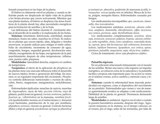loreado purpurino) en las hojas de la planta.
El fósforo es altamente móvil en plantas y cuando es deficiente puede ser desplazado de tejido viejo de la planta
a los brotes jóvenes que crecen activamente. Mientras que
una planta madura, el fósforo se desplaza a las áreas fructíferas de la planta donde hay altas necesidades energéticas
para la formación de semillas y de la fruta.
Las deficiencias del fósforo durante el crecimiento afectan al desarrollo de la semilla y la maduración de los frutos.
Síntomas: fotosíntesis deteriorada, esterilidad, stamen
inmaduro, frutos sin sabor, manchas en el fruto. Es indicado en plantas que crecen rápido, altas, delgadas y tienden
encorvarse, se puede utilizar para mitigar el estrés salino.
Falta de crecimiento, incremento de consumo de agua,
congestión, hongos, sequedad general, decoloración amarillenta, encogimiento de las hojas, encogimiento de la piel,
marchitamiento después de altas temperaturas, inflamación, puntos cafés, púrpuras.
Modalidades: lateralidad derecha, empeora en cambios
de temperatura.
Terapéutica: el efecto de la aplicación de phosphorus en
las plantas tiene una marcada influencia sobre el desarrollo
de nuevos tejidos, brotes y generación del follaje. En resumen, es un regulador importante del crecimiento. Phosphorus controla deficiencias nutricionales y excesos de calcio,
cobre, hierro, magnesium, manganesium, molybdenium,
zinc.
Enfermedades tipificadas: manchas de septoria, manchas
de stagonosphora, rayas de halo, puccinia triticina, roya de
plátano, pudriciones en general, erwinia carotovora, pythium,
fusarium sp., colletotrichum en la manzana, monilinia fructícola (podredumbre morena en el melocotonero y durazno)
royas bacteriales, putrefacción de la raíz por armillaria,
phytophora cactorum, clorosis en general. Controla bacterias
áfidos y trips en general, pseudomonas syringae pv.phaseolica/

p.svastanoi pv. phaseolica, pudrición de manzanas (scald), tetranynchus urcicae (araña mite en árboles). Mosca de la fruta, pulgón, mosquita blanca. Enfermedades causadas por
hongos.
Los medicamentos incompatibles: apis, causticum, chamomilla, rhus toxicodendron.
Los medicamentos antídotos: arsenicum, calcarea carbónica, camphora, chamomilla, chloroformium, coffea, mezereum,
nux vomica, psorinum, sepia, therebinthiniae oleum.
Los medicamentos complementarios: aconitum, alium
cepa, arsenicum, arsenicum yodatum, bryonia, calcarea carbónica, carbo vegetabilis, china, cistus canadensis, comocladia dentata, cuprum, ipeca, kali bicromicum, kali carbonicum, kreosotum,
lachesis, lepidium bonarense, lycopodium, nux vomica, opium,
petroleum, pulsatilla, sanguinaria, sepia, silicea terra, sulphur.
Ciclos de tratamiento: alium cepa-phosphorus-sulphur.

70

71

Pulsatilla nigricans
En un policresto relacionado íntimamente con el mundo
de las semillas. Brotar una nueva vida requiere un impulso
energético, un esfuerzo extra de la naturaleza y la pulsatilla
facilita y propicia este importante paso. Su acción se centra
en el sistema venoso, activa cambios y estimula vasos y tejidos.
Síntomas: cuando la enfermedad tiene marcada periodicidad con regresos, como si dependiera del movimiento
de un péndulo. Enfermedades que vienen y van de manera aparentemente errática se adaptan a este medicamento.
Debilidad de la planta en general. Dormancia demasiado
larga de semillas.
Modalidades: es unilateral. Agrava con el calor o cuando
la presión barométrica aumenta, después del riego. Agravación temprano en la mañana, en el tiempo caluroso, en
el verano, por el riego, antes de las tormentas, por falta de

 