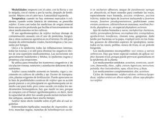 Modalidades: empeora con el calor, con la lluvia y con
lo mojado, con el viento y por la noche, después de fertilización. Mejora con el calor seco. Lateraridad izquierda.
Terapéutica: cuando no hay síntomas marcados o evidentes, cuando existe latencia de síntomas, se prescribe
sulphur. Como casi todas las medicinas de origen mineral
tiene una acción profunda que facilita al funcionamiento de
otros medicamentos en los cultivos.
El uso agrohomeopático de sulphur incluye drenaje de
contaminación causada con el uso de pesticidas, fungicidas y otras sustancias agrotóxicas en el terreno. Es útil para
manejo de enfermedades virales, bacteriológicas y las causadas por hongos.
Lleva a la epidermis todas las inflamaciones internas,
todas las toxinas y es útil para eliminar los negativos efectos de una supresión medicamentosa. Las secreciones son
generalmente malolientes y fétidas, la epidermis rugosa y
propensa a las erupciones.
Se utiliza para remediar los trastornos congestivos y de
circulación venosa, nutrición y asimilación deficiente de los
nutrientes.
Sulphur causa notable aumento en tamaño, vigor y crecimiento en cultivos de cebolla y ajo. Exceso de transpiración, plantas exigentes de fertilización. Puede apreciarse en
la lista de posibilidades curativas de sulphur que su acción
puede parecer a un principiante en agrohomeopatía un remedio casi para todo, pero como sucede con todos los medicamentos homeopáticos, hay que medir su uso, porque
se compara con el bisturí agrohomeopático, es decir, tiene
la capacidad de abrir los canales puede incluir incluso heridas antiguas, sanadas hace mucho tiempo.
Sulphur tiene efecto notable sobre el pH alto al cual regulariza.
Enfermedades tipificadas: manchas de stagonosfora, septoria, manchas negras, manchas de helmithosporium saccha-

ri en saccharum offinarum, ataque de pseudomonas syringae
pv. phaseolicola, es buen remedio para combatir las royas,
especialmente roya húmeda, puccinia striiformis, puccinia
triticina, todos los tipos de fusarium incluyendo a fusarium
roseum, fusarium pseudograminearum, pudriciones como
erwinia carotovora, colletotrichum en manzana, monilinia fructícola, phytophora sp., en especial phytophora cactorum. 	
tipo de mohos húmedos y secos, stachybortrys chartarum,
mildiu, peronosphora farinosa, microsphaea alni, uromycladium,
agrobacterium tumefaciens, clorosis rosa, gangrenas, daño
tardío por bacterias en la papa, eriophyid mites en los frutales, gusanos de diferentes especies de spodoptera, nemátodos en las raíces, polillas, mosca de fruta, es un potente
fungicida.
Los medicamentos incompatibles: nux vomica y natrum
carbonicum. Hay que tener especial cuidado de aplicar sulphur durante el sol, porque puede provocar quemaduras en
la epidermis de la planta.
Los medicamentos antídotos: aconitum, arsenicum, causticum, chamomilla, china , coffea, conium, hypericum, mercurium,
pulsatila, rhus toxicodendron, sepia, silicea terra, y thuja.
Los medicamentos complementarios: aloe, aconitum.
Ciclos de tratamiento: sulphur-calcárea carbónica-lycopodium; sulphur-arsénicum album-sulphur; allium sepa-phosphorus-sulphur.

76

77

 