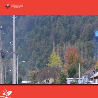 10
libroPIRDTultimas correcciones.indd 10libroPIRDTultimas correcciones.indd 10 8/10/09 11:06:048/10/09 11:06:04
 