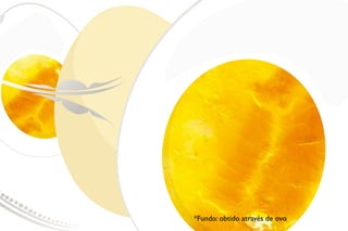 *Fundo: obtido através de ovo
 
