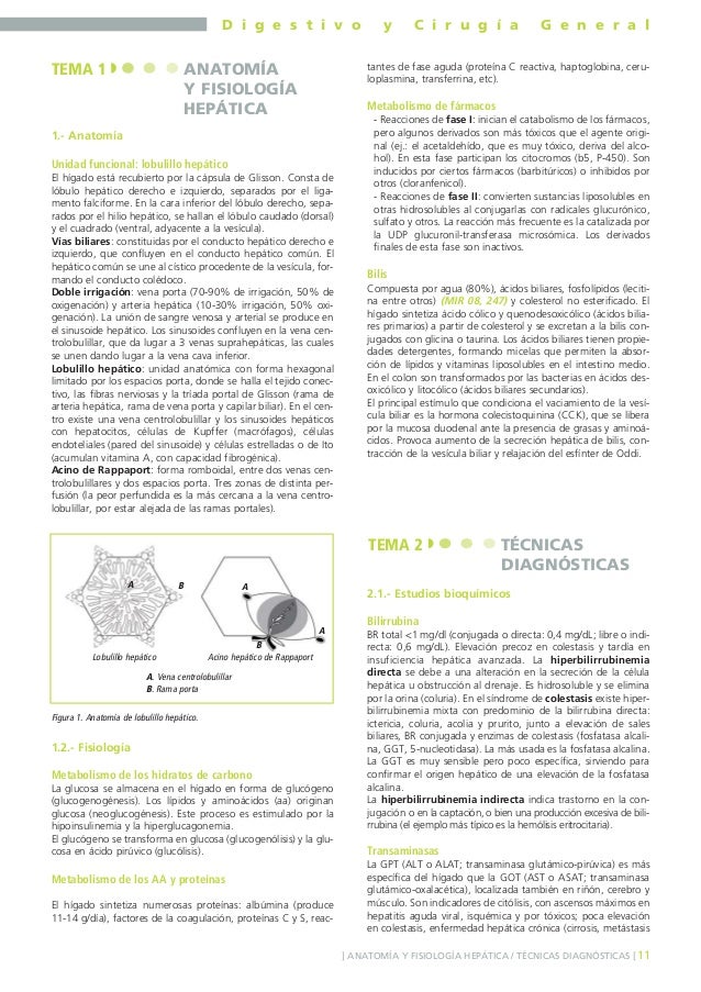 manual amir gastroenterologia pdf