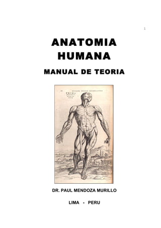 1



 ANATOMIA
  HUMANA
MANUAL DE TEORIA




 DR. PAUL MENDOZA MURILLO

       LIMA - PERU
 