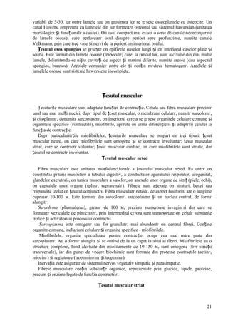 Manual anatomie | PDF