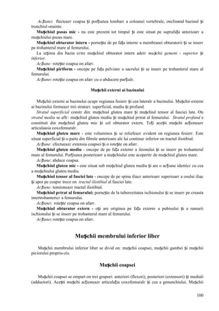 100
Acțiune: flecteazг coapsa și porțiunea lombarг a coloanei vertebrale, оnclinвnd bazinul și
trunchiul оnainte.
Mușchiul psoas mic - nu este prezent tot timpul și este situat pe suprafața anterioarг a
mușchiului psoas mare.
Mușchiul obturator intern - pornește de pe fața internг a membranei obturatorii și se inserг
pe trohanterul mare al femurului.
La ieșirea din bazin cгtre mușchiul obturator intern aderг mușchii gemeni - superior și
inferior.
Acțiune: rotește coapsa оn afarг.
Mușchiul piriform - оncepe pe fața pelvianг a sacrului și se inserг pe trohanterul mare al
femurului.
Acțiune: rotește coapsa оn afarг cu o abducere parțialг.
Mușchii externi ai bazinului
Mușchii externi ai bazinului ocupг regiunea fesierг și cea lateralг a bazinului. Mușchii externi
ai bazinului formeazг trei straturi: superficial, mediu și profund.
Stratul superficial constг din: mușchiul gluteu mare și mușchiul tensor al fasciei late. Оn
stratul mediu se aflг: mușchiul gluteu mediu și mușchiul pгtrat al femurului. Stratul profund e
constituit din mușchiul gluteu mic și cel obturator extern. Toți acești mușchi acționeazг
articulaюia coxofemuralг.
Mușchiul gluteu mare - este voluminos și se reliefeazг evident оn regiunea fesierг. Este
situat superficial și o parte din fibrele anterioare ale lui continuг inferior оn tractul iliotibial.
Acțiune: efectueazг extensia coapsei și o rotește оn afarг.
Mușchiul gluteu mediu - оncepe de pe fața externг a ileonului și se inserг pe trohanterul
mare al femurului. Porțiunea posterioarг a mușchiului este acoperitг de mușchiul gluteu mare.
Acțiune: abduce coapsa.
Mușchiul gluteu mic - este situat sub mușchiul gluteu mediu și are o acțiune identicг cu cea
a mușchiului gluteu mediu.
Mușchiul tensor al fasciei late - оncepe de pe spina iliacг anterioarг superioarг a osului iliac
și apoi pe coapsг trece оn tractul iliotibial al fasciei late.
Acțiune: tensioneazг tractul iliotibial.
Mușchiul pгtrat al femurului: pornește de la tuberozitatea ischionului și se inserг pe creasta
intertrohantericг a femurului.
Acțiune: rotește coapsa оn afarг.
Mușchiul obturator extern - оși are originea pe fața externг a pubisului și a ramurii
ischionului și se inserг pe trohanterul mare al femurului.
Acțiune: rotește coapsa оn afarг.
Mușchii membrului inferior liber
Mușchii membrului inferior liber se divid оn: mușchii coapsei, mușchii gambei și mușchii
piciorului propriu-zis.
Mușchii coapsei
Mușchii coapsei se оmpart оn trei grupuri: anteriori (flexori), posteriori (extensori) și mediali
(adductori). Acești mușchi acționeazг articulația coxofemuralг și cea a genunchiului. Mușchii
 
