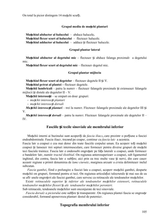 105
Оn total la picior distingem 14 mușchi scurți.
Grupul mediu de mușchi plantari
Mușchiul abductor al halucelui – abduce halucele.
Mușchiul flexor scurt al halucelui – flecteazг halucele.
Mușchiul adductor al halucelui – adduce și flecteazг halucele.
Grupul plantar lateral
Mușchiul abductor al degetului mic – flecteazг și abduce falanga proximalг a degetului
mic.
Mușchiul flexor scurt al degetului mic – flecteazг degetul mic.
Grupul plantar mijlociu
Mușchiul flexor scurt al degetelor – flecteazг degetele II și V.
Mușchiul pгtrat al plantei – flecteazг degetele.
Mușchii lumbricali – patru la numгr – flecteazг falangele proximale și extenseazг falangele
mijlocii și distale ale degetelor II – V.
Mușchii interosoși – se оmpart оn douг grupuri:
- mușchii interosoși plantari
- mușchii interosoși dorsali
Mușchii interosoși plantari – trei la numгr. Flecteazг falangele proximale ale degetelor III și
V.
Mușchii interosoși dorsali – patru la numгr. Flecteazг falangele proximale ale degetelor II –
IV.
Fasciile și tecile sinoviale ale membrului inferior
Mușchii interni ai bazinului sunt acoperiți de fascia iliacг, care prezintг o porțiune a fasciei
endoabdominale. Fascia iliacг, trecвnd pe coapsг, continuг cu fascia latг a acesteia.
Fascia latг a coapsei e cea mai densг din toate fasciile corpului uman. Ea acoperг toți mușchii
coapsei și lanseazг trei septuri intermusculare, care formeazг pentru diverse grupuri de mușchi
teci fasciale trainice. Fascia latг e оndeosebi оngroșatг pe fața lateralг a coapsei, unde formeazг
o bandeletг latг, numitг tractul iliotibial. Оn regiunea anterosuperioarг a coapsei, sub ligamentul
inghinal, din contra, fascia latг e subțire; aici prin ea trec multe vase și nervi, din care cauzг
aceastг regiune a primit denumirea de lamг ciuruitг, marginea arcuatг a cгreia delimiteazг inelul
subcutan.
Fascia gambei, fiind o prelungire a fasciei late a coapsei, acoperг mușchii gambei, desparte
mușchii оn grupuri, formвnd pentru ei teci. Оn regiunea articulației talocrurale și mai sus de ea
se aflг unele оngroșгri ale fasciei gambei, care servesc ca retinacule ale tendoanelor mușchilor.
Existг retinaculele superior și inferior ale tendoanelor mușchilor extensori, retinaculele
tendoanelor mușchilor flexori și ale tendoanelor mușchilor peronieri.
Sub retinacule, tendoanele mușchilor sunt оnconjurate de teci sinoviale.
Fascia dorsalг a piciorului este subțire și transparentг. Оn regiunea plantei fascia se оngroașг
considerabil, formвnd aponevroza plantarг destul de puternicг.
Topografia membrului inferior
 