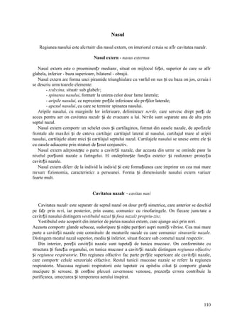110
Nasul
Regiunea nasului este alcгtuitг din nasul extern, оn interiorul cгruia se aflг cavitatea nazalг.
Nasul extern - nasus externus
Nasul extern este o proeminențг medianг, situat оn mijlocul feței, superior de care se aflг
glabela, inferior - buza superioarг, bilateral - obrajii.
Nasul extern are forma unei piramide triunghiulare cu vвrful оn sus și cu baza оn jos, cгruia i
se descriu urmгtoarele elemente:
- rгdгcina, situatг sub glabelг;
- spinarea nasului, formatг la unirea celor douг lame laterale;
- aripile nasului, ce reprezintг pгrțile inferioare ale pгrților laterale;
- apexul nasului, cu care se terminг spinarea nasului.
Aripile nasului, cu marginile lor inferioare, delimiteazг nгrile, care servesc drept porți de
acces pentru aer оn cavitatea nazalг și de evacuare a lui. Nгrile sunt separate una de alta prin
septul nazal.
Nasul extern comportг un schelet osos și cartilaginos, format din oasele nazale, de apofizele
frontale ale maxilei și de cвteva cartilaje: cartilajul lateral al nasului, cartilajul mare al aripii
nasului, cartilajele alare mici și cartilajul septului nazal. Cartilajele nasului se unesc оntre ele și
cu oasele adiacente prin straturi de țesut conjunctiv.
Nasul extern adгpostește o parte a cavitгții nazale, dar aceasta din urmг se оntinde pвnг la
nivelul porțiunii nazale a faringelui. El оndeplinește funcția esteticг și realizeazг protecția
cavitгții nazale.
Nasul extern diferг de la individ la individ și este formațiunea care imprimг оn cea mai mare
mгsurг fizionomia, caracteristicг a persoanei. Forma și dimensiunile nasului extern variazг
foarte mult.
Cavitatea nazalг - cavitas nasi
Cavitatea nazalг este separatг de septul nazal оn douг pгrți simetrice, care anterior se deschid
pe fațг prin nгri, iar posterior, prin coane, comunicг cu rinofaringele. Оn fiecare jumгtate a
cavitгții nasului distingem vestibulul nazal și fosa nazalг propriu-zisг.
Vestibulul este acoperit din interior de pielea nasului extern, care ajunge aici prin nгri.
Aceasta comportг glande sebacee, sudoripare și niște perișori aspri numiți vibrise. Cea mai mare
parte a cavitгții nazale este constituitг de meaturile nazale cu care comunicг sinusurile nazale.
Distingem meatul nazal superior, mediu și inferior, situat fiecare sub cornetul nazal respectiv.
Din interior, pereții cavitгții nazale sunt tapetați de tunica mucoasг. Оn conformitate cu
structura și funcția organului, оn tunica mucoasг a cavitгții nazale distingem regiunea olfactivг
și regiunea respiratorie. Din regiunea olfactivг fac parte pгrțile superioare ale cavitгții nazale,
care comportг celule senzoriale olfactive. Restul tunicii mucoase nazale se referг la regiunea
respiratorie. Mucoasa regiunii respiratorii este tapetatг cu epiteliu ciliat și comportг glande
mucipare și seroase, și conține plexuri cavernoase venoase, prezența cгrora contribuie la
purificarea, umectarea și temperarea aerului inspirat.
 