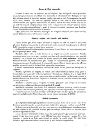 115
Forma și fețele plгmвnilor
Plгmвnii au forma unui con imperfect. La ei distingem 3 fețe: diafragmalг, costalг și medialг.
Fața diafragmalг mai este consideratг baza plгmвnului și este orientatг spre diafragm, iar vвrful
(apexul) este rotunjit și ajunge оn regiunea gвtului, ridicвndu-se cu 2-3 cm deasupra claviculei.
Fața costalг, convexг, este adiacentг suprafeței interne a cutiei toracice. Fața medialг este
orientatг medial spre organele mediastinului. Tot pe fața medialг a fiecгrui plгmвn ceva mai sus
de mijlocul ei se aflг o impresiune de formг ovalг - hilul plгmвnului, prin care оntrг оn plгmвn
bronhia principalг, artera pulmonarг, nervi, și prin care ies venele pulmonare, vase limfatice.
Aceste formațiuni constituie rгdгcina plгmвnului.
Fețele plгmвnilor sunt delimitate de margini. Pe marginea anterioarг, care delimiteazг fața
costalг de cea medialг, se aflг incizura cardiacг.
Structura macro – microscopicг a plгmвnilor
Fiecare plгmвn prin niște șanțuri profunde se оmparte оn lobi, оn numгr de trei pentru
plгmвnul drept (superior, mediu și inferior) și doi pentru plгmвnul stвng (superior și inferior).
Lobii pulmonari se оmpart la rвndul lor оn segmente.
Оn hilul plгmвnului bronhia principalг se separг оn bronhii lobare, trei pentru plгmвnul drept
și douг pentru plгmвnul stвng.
Bronhiile lobare оntrг оn hilul lobului și se оmpart оn bronhii segmentare. Bronhia
segmentarг оntrг оn segment, care constituie o porțiune a plгmвnului orientatг cu baza spre fața
organului, iar cu apexul spre rгdгcina lui și este alcгtuit din lobuli pulmonari. Segmentele
bronhopulmonare se caracterizeazг prin aerație și vascularizație proprie, prin stromг
intersegmentarг, care le delimiteazг de segmentele vecine. Datoritг acestor particularitгți sunt
posibile intervenții chirurgicale la nivel de segment bronhopulmonar.
Conform Nomenclaturii Anatomice Pariziene (PNA) оn fiecare plгmвn se disting cвte 10
segmente.
Bronhia segmentarг se оmparte оn ramuri, care subdivizвndu-se treptat, ajung pвnг la
bronhiola lobularг, care intrг оn lobulul pulmonar. Оn interiorul lobulului de la ea pleacг 18-20
bronhiole terminale, care nu mai comportг оn structura sa formațiuni cartilaginoase. Acestea se
оmpart dicotomic оn bronhiolele respiratorii, de la care deviazг canalele alveolare ce conțin
alveole pulmonare.
Bronhiile de diferite ordine, оncepвnd cu bronhia principalг, care servesc la conducerea
aerului оn procesul de respirație, constituie arborele bronhial.
Bronhiolele respiratorii, care deviazг de la o bronhiolг terminalг, precum și canalele alveolare
cu alveolele formeazг acinul pulmonar, care reprezintг unitatea morfofuncționalг a plгmвnului.
Totalitatea acinilor pulmonari formeazг arborele alveolar care face parte din parenchimul
respiratoriu al plгmвnilor. Numгrul de acini оntr-un plгmвn ajunge pвnг la 15.000.
Limitele plгmвnilor
Apexul plгmвnului drept depгșește nivelul claviculei cu 2 cm, iar al coastei I cu 3-4 cm.
Posterior apexul plгmвnilor se proiecteazг la nivelul apofizei spinoase a vertebrei cervicale VII.
De la apex pornește limita lui anterioarг, care trece spre articulația sternoclavicularг dreaptг,
iar apoi coboarг оn jos, posterior de stern, pвnг la cartilajul coastei VI și aici trece оn limita
inferioarг a plгmвnului drept.
Limita inferioarг intersecteazг pe linia medioclavicularг coasta VI, pe linia axilarг anterioarг -
coasta VII, pe linia axilarг medie - coasta VIII, pe linia axilarг posterioarг - coasta IX, pe linia
scapularг - coasta X, pe linia paravertebralг se terminг la nivelul coastei XI. Aici limita
inferioarг a plгmвnului se оntoarce brusc оn sus și trece оn limita lui posterioarг.
 