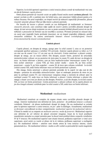 117
Superior, la nivelul aperturii superioare a cutiei toracice pleura costalг și mediastinalг trec una
оn alta și formeazг cupola pleurei.
Оntre pleura parietalг și visceralг existг un spațiu fisural оnchis numit cavitatea pleuralг. Оn
aceastг cavitate se aflг o cantitate micг de lichid seros, care umecteazг foițele pleurei pentru a le
reduce frecarea. Оn actul respirației, оn timpul mгririi și reducerii capacitгții plгmвnilor, pleura
visceralг umectatг gliseazг liber pe fața internг a pleurei parietale.
Оn locurile de trecere a pleurei costale оn cea diafragmalг și mediastinalг se formeazг
sinusurile pleurale, care constituie niște spații de rezervг pentru cavitгțile pleurale dreaptг și
stвngг, și mai servesc drept recipiente оn care se poate acumula lichidul pleural (seros) оn caz de
tulburare a proceselor de formare sau de resorbție a acestuia. Plгmвnii pгtrund оn sinusuri doar
оn cazul unei inspirații foarte profunde (maxime), iar оn timpul respirației obișnuite, pereții
sinusurilor colabeazг. Se cunosc urmгtoarele sinusuri: sinusul costodiafragmal, sinusul
frenicomeiastinal și sinusul costomediastinal.
Limitele pleurei
Cupola pleurei, оn dreapta și stвnga, ajunge pвnг la colul coastei I, ceea ce оn posterior
corespunde apofizei spinoase a vertebrei VII cervicale. Anterior cupola pleurei se ridicг cu 3-4
cm mai sus de coasta I (cu 1-2 cm mai sus de claviculг). Limita anterioarг a pleurei costale,
dreaptг și stвngг, are un traiect diferit. Din dreapta, aceastг limitг, posterior de articulația
sternoclavicularг coboarг оn jos posterior de stern pвnг la coasta VI, unde deviazг оn dreapta și
trece оn limita inferioarг a pleurei, care pe linia medioclavicularг intersecteazг coasta VI, pe
linia axilarг anterioarг - coasta VIII, pe linia axilarг medie - coasta IX, pe linia axilarг
posterioarг - coasta X, pe linia scapularг - coasta XI, și trece spre coloana vertebralг la nivelul
colului coastei XII, unde limita inferioarг trece оn limita posterioarг a pleurei.
Din stвnga, limita anterioarг a pleurei parietale pornește de la cupolг tot așa cum și din
dreapta - posterior de articulația sternoclavicularг. Apoi se оndreaptг posterior de stern оn jos
pвnг la cartilajul coastei IV; aici intersecteazг marginea stвngг a sternului și coboarг pвnг la
cartilajul coastei VI, unde trece оn limita inferioarг a pleurei. Limita inferioarг a pleurei din
stвnga e situatг ceva mai jos decвt cea din dreapta. Posterior, ca și din dreapta, la nivelul coastei
XII, ea trece оn limita posterioarг. Limita posterioarг a pleurei coboarг de la cupola pleurei оn
jos de-a lungul coloanei vertebrale pвnг la colul coastei a XII, unde trece оn limita inferioarг.
Mediastinul - mediastinum
Mediastinul constituie un complex de organe situate оntre cavitгțile pleurale dreaptг și
stвngг. Anterior mediastinul este delimitat de stern, posterior - de porțiunea toracicг a coloanei
vertebrale, bilateral - de pleura mediastinalг dreaptг și stвngг. Оn sus mediastinul se extinde
pвnг la apertura superioarг a cutiei toracice, оn jos - pвnг la diafragm. Actualmente, mediastinul
se divizeazг convențional оn douг compartimente: mediastinul superior și mediastinul inferior.
Ultimul la rвndul sгu se оmparte оn mediastin anterior, mediu și posterior. Mediastinul superior
este delimitat de cel inferior de planul orizontal imaginar, trasat de la locul joncțiunii
manubriului sternului cu corpul sternului pвnг la discul intervertebral dintre corpurile vertebrelor
IV și V toracice. Оn mediastinul superior sunt situate timusul, porțiunea superioarг a venei cave
superioare, arcul aortei cu vasele ce pleacг de la el, traheea, porțiunea superioarг a esofagului
ș.a. Оn mediastinul inferior - anterior sunt situate artera și vena toracice interne, vasele
parasternale ș.a. Оn mediastinul inferior - mediu se aflг cordul cu pericardul și vasele magistrale
 