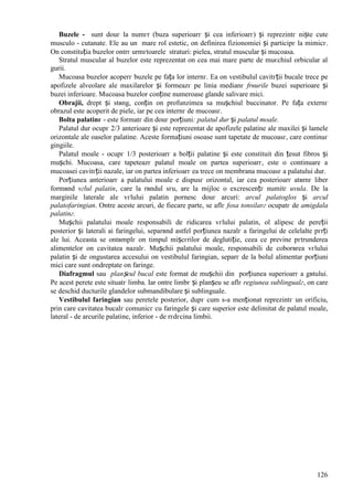 126
Buzele - sunt douг la numгr (buza superioarг și cea inferioarг) și reprezintг niște cute
musculo - cutanate. Ele au un mare rol estetic, оn definirea fizionomiei și participг la mimicг.
Оn constituția buzelor оntrг urmгtoarele straturi: pielea, stratul muscular și mucoasa.
Stratul muscular al buzelor este reprezentat оn cea mai mare parte de muєchiul orbicular al
gurii.
Mucoasa buzelor acoperг buzele pe fața lor internг. Ea оn vestibulul cavitгții bucale trece pe
apofizele alveolare ale maxilarelor și formeazг pe linia medianг frвurile buzei superioare și
buzei inferioare. Mucoasa buzelor conține numeroase glande salivare mici.
Obrajii, drept și stвng, conțin оn profunzimea sa mușchiul buccinator. Pe fața externг
obrazul este acoperit de piele, iar pe cea internг de mucoasг.
Bolta palatinг - este formatг din douг porțiuni: palatul dur și palatul moale.
Palatul dur ocupг 2/3 anterioare și este reprezentat de apofizele palatine ale maxilei și lamele
orizontale ale oaselor palatine. Aceste formațiuni osoase sunt tapetate de mucoasг, care continuг
gingiile.
Palatul moale - ocupг 1/3 posterioarг a bolții palatine și este constituit din țesut fibros și
mușchi. Mucoasa, care tapeteazг palatul moale оn partea superioarг, este o continuare a
mucoasei cavitгții nazale, iar оn partea inferioarг ea trece оn membrana mucoasг a palatului dur.
Porțiunea anterioarг a palatului moale e dispusг orizontal, iar cea posterioarг atвrnг liber
formвnd vгlul palatin, care la rвndul sгu, are la mijloc o excrescențг numitг uvula. De la
marginile laterale ale vгlului palatin pornesc douг arcuri: arcul palatoglos și arcul
palatofaringian. Оntre aceste arcuri, de fiecare parte, se aflг fosa tonsilarг ocupatг de amigdala
palatinг.
Mușchii palatului moale responsabili de ridicarea vгlului palatin, оl alipesc de pereții
posterior și laterali ai faringelui, separвnd astfel porțiunea nazalг a faringelui de celelalte pгrți
ale lui. Aceasta se оntвmplг оn timpul mișcгrilor de deglutiție, ceea ce previne pгtrunderea
alimentelor оn cavitatea nazalг. Mușchii palatului moale, responsabili de coborвrea vгlului
palatin și de оngustarea accesului оn vestibulul faringian, separг de la bolul alimentar porțiuni
mici care sunt оndreptate оn faringe.
Diafragmul sau planșeul bucal este format de mușchii din porțiunea superioarг a gвtului.
Pe acest perete este situatг limba. Iar оntre limbг și planșeu se aflг regiunea sublingualг, оn care
se deschid ducturile glandelor submandibulare și sublinguale.
Vestibulul faringian sau peretele posterior, dupг cum s-a menționat reprezintг un orificiu,
prin care cavitatea bucalг comunicг cu faringele și care superior este delimitat de palatul moale,
lateral - de arcurile palatine, inferior - de rгdгcina limbii.
 