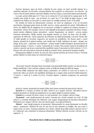 129
Dentina formeazг masa de fond a dintelui și este situatг оn jurul cavitгții dentare și a
canalului radicular. Pe din afarг, coroana dintelui este acoperitг cu adamantinг, iar rгdгcina - de
ciment. Оn alveolele dentare rгdгcinile dinților concresc tenace cu periostul dentar (periodontul).
La copii, primii dinți apar la 5-7 luni, iar la vвrsta de 2-5 ani numгrul lor ajunge pвnг la 20.
Aceștia sunt dinții de lapte sau deciduali. La copiii de 5-7 ani dinții de lapte оncep sг cadг
cedвnd locul dinților permanenți. La omul matur оn condiții normale existг 32 de dinți.
Оn funcție de forma și dimensiunile coroanei, de locul de amplasare a lor оn alveolele
maxilarelor, distingem patru forme de dinți: incisivi, canini, premolari și molari. Diferențele de
formг ale dinților țin de adaptarea lor оn procesul evoluției la captarea și tratarea mecanicг a
alimentelor variate. De exemplu, incisivii sunt adaptați la decuparea (separarea din bloc) hranei,
caninii pentru sfвșierea hranei, premolarii - pentru fragmentare, iar molarii - servesc pentru
triturarea alimentelor. Dinții omului sunt dispuși simetric оn formг de douг serii de dinți -
superioarг și inferioarг. Seria superioarг și inferioarг de dinți permanenți e alcгtuitг fiecare din
16 dinți plasați оn alveolele respective ale maxilei și mandibulei. De fiecare parte a seriei
dentare, pornind de la planul median, sunt situați cвte 8 dinți. Indiferent de parte - dreaptг sau
stвngг, și de serie - superioarг sau inferioarг - printre acești 8 dinți distingem, pornind lateral de
la planul median: 2 incisivi, 1 canin, 2 premolari și 3 molari. Prin urmare numгrul de dinți pe de
o parte a maxilei sau de pe o jumгtate din mandibulг poate fi prezentat оn felul urmгtor: 2,1,2,3.
Fiecare cifrг din serie denotг numгrul de dinți de anumitг formг, pornind de la planul median.
Оnregistrarea dinților оn formг de serie de cifre a primit numirea de formulг dentarг. Formula
dentarг deplinг la omul matur are urmгtorul aspect:
3212 2123
3212 2123
Оn aceastг formulг deasupra liniei orizontale sunt prezentați dinții maxilei, iar mai jos de ea-
dinții mandibulei. Linia verticalг оmparte seriile оn dinți de dreapta și dinți de stвnga.
Printre dinții temporari (de lapte) lipsesc premolarii, iar molarii nu sunt trei la numгr, ci
numai doi. Deci, pe maxilг sau mandibulг distingem pe o singurг parte urmгtorii dinți temporari:
2 incisivi, 1 canin și 2 molari (2,1,0,2). Formula deplinг a danturii temporare are urmгtorul
aspect:
2012 2102
2012 2102
Incisivii, caninii, premolarii și molarii diferг prin forma coroanei și numгrul de rгdгcini.
Incisivii au o coroanг оn formг de daltг. Incisivii au o singurг rгdгcinг. Deosebim incisivi
mediali și laterali оn funcție de amplasarea lor оn raport spațial cu planul median.
Caninii au o coroanг de formг conicг cu vвrf acuminat. Au o singurг rгdгcinг lungг.
Premolarii – sunt situați posterior de canini. Coroana are o formг rotundг sau ovalг. Pe fața
ocluzivг a coroanei distingem doi tuberculi, care asigurг fragmentarea și triturarea alimentelor.
Premolarii au o singurг rгdгcinг, dar care uneori poate avea apexul bifurcat.
Molarii – sunt situați posterior de premolari. Dimensiunile lor merg diminuвnd оn direcție
antero - posterioarг. Molarul III este cel mai mic și mai оntвrziat оn erupție, din care cauzг e
numit molar de minte. Coroana molarilor are o formг cuboidг și pe fața ocluzivг prezintг de la 3
la 5 tuberculi, care contribuie la triturarea alimentelor. Molarii inferiori au douг rгdгcini, iar cei
superiori - 3.
Deosebirile dintre dinții permanenți și cei deciduali
 