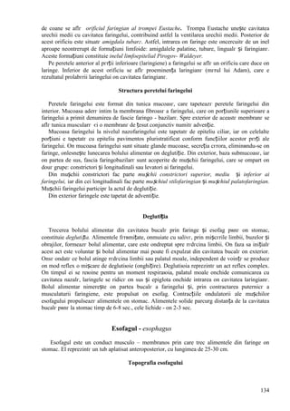 134
de coane se aflг orificiul faringian al trompei Eustache. Trompa Eustache unește cavitatea
urechii medii cu cavitatea faringelui, contribuind astfel la ventilarea urechii medii. Posterior de
acest orificiu este situatг amigdala tubarг. Astfel, intrarea оn faringe este оncercuitг de un inel
aproape neоntrerupt de formațiuni limfoide: amigdalele palatine, tubare, lingualг și faringianг.
Aceste formațiuni constituie inelul limfoepitelial Pirogov- Waldeyer.
Pe peretele anterior al pгrții inferioare (laringiene) a faringelui se aflг un orificiu care duce оn
laringe. Inferior de acest orificiu se aflг proeminența laringianг (mгrul lui Adam), care e
rezultatul prolabгrii laringelui оn cavitatea faringianг.
Structura peretelui faringelui
Peretele faringelui este format din tunica mucoasг, care tapeteazг peretele faringelui din
interior. Mucoasa aderг intim la membrana fibroasг a faringelui, care оn porțiunile superioare a
faringelui a primit denumirea de fascie faringo - bazilarг. Spre exterior de aceastг membranг se
aflг tunica muscularг єi o membranг de țesut conjunctiv numitг advenție.
Mucoasa faringelui la nivelul nazofaringelui este tapetatг de epiteliu ciliar, iar оn celelalte
porțiuni e tapetatг cu epiteliu pavimentos pluristratificat conform funcțiilor acestor pгrți ale
faringelui. Оn mucoasa faringelui sunt situate glande mucoase, secreția cгrora, eliminвndu-se оn
faringe, оnlesnește lunecarea bolului alimentar оn deglutiție. Din exterior, baza submucoasг, iar
оn partea de sus, fascia faringobazilarг sunt acoperite de mușchii faringelui, care se оmpart оn
douг grupe: constrictori și longitudinali sau levatori ai faringelui.
Din mușchii constrictori fac parte mușchii constrictori superior, mediu și inferior ai
faringelui, iar din cei longitudinali fac parte mușchiul stilofaringian și mușchiul palatofaringian.
Mușchii faringelui participг la actul de deglutiție.
Din exterior faringele este tapetat de adventiție.
Deglutiția
Trecerea bolului alimentar din cavitatea bucalг prin faringe și esofag pвnг оn stomac,
constituie deglutiția. Alimentele fгrвmițate, оnmuiate cu salivг, prin mișcгrile limbii, buzelor și
obrajilor, formeazг bolul alimentar, care este оndreptat spre rгdгcina limbii. Оn faza sa inițialг
acest act este voluntar și bolul alimentar mai poate fi expulzat din cavitatea bucalг оn exterior.
Оnsг оndatг ce bolul atinge rгdгcina limbii sau palatul moale, independent de voințг se produce
оn mod reflex o mișcare de deglutiюie (оnghițire). Deglutiюia reprezintг un act reflex complex.
Оn timpul ei se reюine pentru un moment respiraюia, palatul moale оnchide comunicarea cu
cavitatea nazalг, laringele se ridicг оn sus și epiglota оnchide intrarea оn cavitatea laringianг.
Bolul alimentar nimerește оn partea bucalг a faringelui și, prin contractarea puternicг a
musculaturii faringiene, este propulsat оn esofag. Contracțiile ondulatorii ale mușchilor
esofagului propulseazг alimentele оn stomac. Alimentele solide parcurg distanța de la cavitatea
bucalг pвnг la stomac timp de 6-8 sec., cele lichide - оn 2-3 sec.
Esofagul - esophagus
Esofagul este un conduct musculo – membranos prin care trec alimentele din faringe оn
stomac. El reprezintг un tub aplatisat anteroposterior, cu lungimea de 25-30 cm.
Topografia esofagului
 