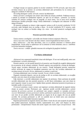 135
Esofagul оncepe оn regiunea gвtului la nivelul vertebrelor VI-VII cervicale, apoi trece prin
cavitatea toracicг și se terminг оn cavitatea abdominalг prin pгtrunderea lui оn stomac spre
stвnga de vertebrele X-XII toracice.
Оn esofag distingem 3 pгrți: cervicalг, toracicг și abdominalг.
Partea cervicalг a esofagului este situatг оntre trahee și coloana vertebralг. Porțiunea toracicг
e plasatг la оnceput оn mediastinul superior, iar apoi оn cel inferior - posterior. La nivelul
vertebrei IV toracice esofagul vine оn tangențг cu arcul aortei. Tot la acest nivel esofagul
intersecteazг bronhia principalг stвngг. Partea abdominalг a esofagului este adiacentг la lobul
stвng al ficatului.
Pe traiectul esofagului se observг niște оngustгri: prima se aflг la nivelul vertebrelor VI-VII
cervicale, unde faringele trece оn esofag, a doua - la nivelul vertebrelor IV-V toracice, unde
esofagul vine оn contact cu bronhia stвngг, și a treia - la nivelul penetrгrii esofagului prin
diafragm.
Structura peretelui esofagului
Tunica externг a esofagului - adventiția este formatг de țesut conjunctiv fibros lax.
Tunica muscularг este alcгtuitг din douг straturi: extern longitudinal și intern circular.
Baza submucoasг - este bine dezvoltatг, ceea ce оi permite mucoasei sг formeze pliuri
longitudinale. Aceste pliuri se aplatiseazг de la contactul cu bolul alimentar, ceea ce contribuie
la mгrirea lumenului esofagian.
Tunica mucoasг - conține glandele mucoase ale esofagului și ganglioni limfatici.
Cavitatea abdominalг
Abdomenul este segmentul trunchiului situat sub diafragmг. El are mai mulți pereți, оntre care
se delimiteazг cavitatea abdominalг.
Peretele anterior, cei doi pereți laterali și cel posterior sunt formați din mușchii abdomenului
și оn posterior, și de coloana vertebralг. Peretele superior este profund și e format de diafragm.
Acesta separг cavitatea abdominalг de cea toracicг. Totuși diafragmul prezintг numeroase
orificii strгbгtute de organe și formațiuni anatomice care trec din cavitatea abdominalг оn
cavitatea toracicг și invers. Оn jos, abdomenul se continuг cu pelvisul.
Cavitatea abdominalг este o cavitate visceralг. Ea are o formг ovoidalг.
Organele sistemului digestiv, mai jos de esofag se aflг оn cavitatea abdominalг, cu excepția
rectului, care este situat оn cavitatea micului bazin.
Fața interioarг a cavitгții abdominale este tapetatг de peritoneu. Оntre peritoneu și pereții
cavitгții abdominale mai ales peretele posterior, se aflг țesut celuloadipos, care este situat оn
jurul organelor situate la acest nivel. Spațiul dintre peretele abdominal posterior și peritoneu se
numește spațiu retroperitoneal.
Peritoneul constituie o tunicг seroasг care tapeteazг cavitatea abdominalг și organele interne
situate оn aceastг cavitate. Peritoneul, care tapeteazг pereții cavitгții abdominale a primit
numirea de peritoneu parietal, iar peritoneul care acoperг organele se numește peritoneu
visceral. Delimitвnd cavitatea peritonealг оnchisг, peritoneul se prezintг ca o foaie neоntreruptг,
care trece de pe pereții cavitгții abdominale pe organe și de pe organe din nou pe pereții
cavitгții. Оn cavitatea peritonealг se aflг оn cantitгți mici un lichid seros care umecteazг
peritoneul, ceea ce оnlesnește lunecarea organelor.
Raportul peritoneului la organele interne este diferit. Unele din ele sunt acoperite de peritoneu
doar parțial (pancreasul, duodenul, rinichii, suprarenalele etc.), adicг sunt dispuse оn afara
peritoneului - retroperitoneal. Fiecare din aceste organe este numit organ retroperitoneal. Alte
 