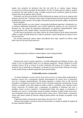 136
organe sunt acoperite de peritoneu doar din trei pгrți și se numesc organe dispuse
mezoperitoneal (colonul ascendent și descendent). Оn fine, al treilea grup de organe e acoperit
cu peritoneu din toate pгrțile și ocupг o poziție intraperitonealг (stomacul, jejunul și ileonul,
colonul transvers și sigmoid, splina, ficatul).
Peritoneul, care trece de pe pereții cavitгții abdominale pe organe sau de pe un organ pe altul
formeazг pliuri și fose. Trecвnd pe unele organe intraperitoneale peritoneul formeazг ligamente
și dublicaturi numite mezouri. De exemplu, mezenterul-mezoul intestinului subțire, mezocolonul
- mezoul colonului.
Оntre hilul ficatului, sus, mica curburг a stomacului și porțiunea superioarг a duodenului, jos,
se formeazг duplicatura peritoneului, care a primit numirea de epiploon mic sau omentul mic.
Omentul mic este format din ligamentul hepatogastric și ligamentul hepatoduodenal. Оntre
aceste ligamente se aflг canalul coledoc, vena portг și artera hepaticг proprie.
Un pliu lung al peritoneului care atвrnг anterior de colonul transvers și de ansele intestinului
subțire cu aspect de șorț format din 4 foițe de peritoneu a primit denumirea de epiploon mare
sau omentul mare.
Оn cavitatea peritonealг putem separa convențional douг etaje: superior și inferior, drept
limitг оntre ele servind colonul transvers.
Stomacul - ventriculus
Stomacul reprezintг o dilatare a tubului digestiv оntre esofag și duoden.
Topografia stomacului
Stomacul este situat оn partea superioarг a cavitгții abdominale sub diafragm și ficat. ѕ din
stomac se aflг оn hipocondrul stвng, iar ј оn regiunea epigastricг. Оncepe stomacul la nivelul
vertebrei toracice XI și se terminг la nivelul vertebrelor XII toracicг și I lombarг. Anterior,
stomacul vine оn adiacențг cu diafragmul, оn dreapta lui este situat ficatul. Posterior de stomac
se aflг rinichiul stвng cu glanda suprarenalг, pancreasul și splina.
Conformația externг a stomacului
La stomac distingem peretele anterior și peretele posterior. La unirea dintre acești pereți se
formeazг curbura micг a stomacului, orientatг dextrosuperior, și curbura mare a stomacului,
care are o orientare sinistroinferioarг. Оn partea superioarг a curburii mici se aflг locul de
pгtrundere a esofagului оn stomac-orificiul cardial, iar partea stomacului circumiacentг la acest
orificiu se numește cardia. Spre stвnga de cardia se observг o prolabare, care constituie fundul
(bolta) stomacului. Pe curbura micг a stomacului, оn porțiunea ei inferioarг mai exisг o
prolabare numitг incizura unghiularг. Compartimentul drept, mai оngust, al stomacului se
numește parte piloricг. Limita dintre stomac și duoden constituie un șanț circular numit pilor,
care corespunde locului de ieșire din stomac-numit orificiu piloric. Partea medie a stomacului,
situatг оntre partea cardialг și fund din stвnga și partea piloricг din dreapta se numește corpul
stomacului.
Capacitatea medie a stomacului la omul matur e de circa 3l (1.5- 4.0l).
Stomacul оși modificг necontenit forma și dimensiunile оn funcție de gradul de umplere și
de starea organelor adiacente.
 