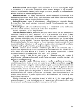 149
Colonul ascendent - este prelungirea cecului și e orientat оn sus. Este situat оn partea dreaptг
a abdomenului și se proiecteazг оn regiunea lateralг dreaptг. Ajungвnd la fața visceralг a
ficatului, el cotește brusc, formвnd flexura dreaptг a colonului, apoi trece оn colonul transvers.
Colonul ascendent are o poziție mezoperitonealг.
Colonul transvers - este dispus transversal оn cavitatea abdominalг și se оntinde de la
flexura dreaptг a colonului pвnг la flexura stвngг a colonului, unde colonul transvers trece оn cel
descendent. Colonul transvers are o poziție intraperitonealг.
Colonul descendent - оncepe de la flexura stвngг a colonului transvers, trece оn jos și ajunge
la nivelul fosei iliace stвngi, unde trece оn colonul sigmoid. Colonul descendent are o poziție
mezoperitonealг.
Colonul sigmoid - este situat оn fosa iliacг stвngг єi se оntinde de la nivelul crestei osului
iliac оn sus pвnг la articulația sacroiliacг, la nivelul cгreia trece оn rect.
Colonul sigmoid are o poziție intraperitonealг.
Structura peretelui colonului. La exterior este situatг tunica seroasг care este urmatг de baza
subseroasг. Apoi urmeazг tunica muscularг, a cгrei strat longitudinal nu e prezent pe toatг
suprafața colonului, dar formeazг trei bandelete musculare, iar stratul circular este repartizat pe
toatг lungimea colonului uniform. Baza submucoasг și tunica mucoasг sunt bine dezvoltate.
Mucoasa nu formeazг vilozitгți. Existг doar niște pliuri semilunare ale colonului, care coincid
limitelor dintre haustre. Оn tunica mucoasг se observг numeroase glande intestinale. Оn tunica
mucoasг și оn baza submucoasг se aflг ganglioni limfatici solitari, iar оn peretele apendicelui
vermiform se aflг ganglionii limfatici agregați ai apendicelui vermiform.
Rectul - constituie partea terminalг a intestinului gros. Оn el se acumuleazг, apoi se
evacueazг din organism masele fecale. El este situat оn cavitatea bazinului mic. Posterior de rect
se aflг sacrul și coccisul. Anterior de el la bгrbați se aflг prostata, vezica urinarг, veziculele
seminale și ampulele canalelor deferente, iar la femei - uterul și vaginul.
Structura rectului. O parte din rect, care se aflг оn cavitatea bazinului mic, formeazг la
nivelul sacrului o dilatare numitг ampula rectalг. Partea mai оngustг a rectului, care trece prin
perineu, se numește canal anal.
Structura peretelui rectului. Membrana externг a rectului оn porțiunea ei superioarг e
constituitг de peritoneu (tunica seroasг), care acoperг aceastг porțiune a rectului din toate pгrțile
(poziție intraperitonealг). Оn partea medie rectul este acoperit de peritoneu din trei pгrți (poziție
mezoperitonealг), iar оn treimea inferioarг rectul nu este acoperit de peritoneu (poziție
extraperitonealг) și tunica lui externг este prezentatг de adventiție. Stratul mediu este tunica
muscularг, prezentг prin stratul longitudinal și stratul circular. Stratul muscular circular оn
regiunea canalului anal formeazг sfincterul anal (involuntar). Tunica internг este mucoasa, care
conține glande intestinale și foliculi limfatici solitari. Mucoasa rectului mai formeazг și pliuri
transversale și longitudinale.
Pliurile transversale se aflг оn ampula rectului, оn numгr de 2-3. Оn canalul anal tunica
mucoasг formeazг 6-10 pliuri longitudinale, care se lгrgesc оn sens inferior, numite pilieri anali,
iar depresiunile ce se formeazг оntre pilieri se numesc sinusurile anale.
 