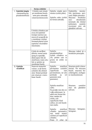 16
forma celulelor
1. Epiteliul simplu
(unistratificat și
pseudostratificat)
Celulele sunt situate
pe membrana bazalг,
unite prin substanța
ciment și desmozomi.
Epiteliu simplu pavi-
mentos (celule plate).
Epiteliu cubic (celule
de formă cuboidă).
Endoteliile, mezote-
liile (peritoneu, peri-
card, foițele pleurale).
Mucoasa bronhiilor
mici (bronhiolele
terminale din lobulul
pulmonar), canalele
excretoare mici ale
glandelor salivare.
Celulele cilindrice pot
avea cili (epiteliul
trompei uterine) sau
microvili acoperiți de
o membranг celularг
formвnd platoul striat
(epiteliul vilozitгților
intestinale).
Celule de оnгlțimi
diferite; numai unele
ajung la suprafațг,
dвnd aspect fals de
stratificare; toate celu-
lele se sprijinг pe
membrana bazalг.
Epiteliu
pseudostratificat
(celule cilindrice cu
cili, printre care se
gгsesc și celule cu
mucus).
Mucoasa traheii și a
bronhiilor principale.
2. Epiteliu
stratificat
Numгrul straturilor
variazг, ca și forma
celulelor din ultimul
strat. Stratul profund
este situat pe o mem-
branг bazalг.
Epiteliu stratificat
pavimentos (celulele
superficiale sunt
pavimentoase, iar cele
profunde au rol
generator-strat
generator).
Epiteliu stratificat
cubic.
Se gгsește mai ales оn
viața embrionarг; la
adult este format din
douг rвnduri de
celule, cele
superficiale fiind
cubice, iar cele bazale
mai оnalte.
Epiteliu stratificat
cilindric (prismatic);
mai multe straturi
celulare,cel superficial
cilindric.
Poate fi ciliat și
Structura pielii (chera-
tinizat). Оn mucoasa
bucalг, mucoasa bu-
cofaringelui, esofagia-
nг (necheratinizat).
Structura canalelor
mici ale glandelor
salivare.
Mucoasa faringianг,
laringianг.
 