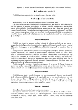 165
- organele ce servesc la eliminarea urinei din organism (uretra masculinг sau femininг).
Rinichiul - ren (gr. nephros)
Rinichiul este un organ excretor par, care formeazг și evacuг urina.
Conformația externг a rinichiului
Rinichiul are o formг de bob de culoare roșie оnchisг, consistențг densг.
La rinichi deosebim douг fețe (anterioarг și posterioarг), doi poli (superior și inferior) și douг
margini (medialг și lateralг). Оn porțiunea de mijloc a marginii mediale existг o depresiune,
numitг hilul rinichiului. Оn hilul rinichiului оntrг artera renalг și nervi, din el iese ureterul, vena
renalг și vase limfatice. Formațiunile enumerate constituie оn ansamblu pedunculul renal. Hilul
renal trece оntr-o depresiune extinsг, care se оnfundг оn substanța rinichiului și se numește sinus
renal. Оn sinusul renal se aflг caliciile renale mari și mici, bazinetul renal, vase sangvine, nervi
și țesut adipos.
Topografia rinichiului
Rinichii sunt situați оn regiunea lombarг, bilateral de coloana vertebralг, pe fața internг a
peretelui abdominal posterior și sunt dispuși retroperitoneal. Rinichii оncep la nivelul vertebrei
XI toracice și ajung pвnг la vertebra III lombarг. Rinichiul stвng se aflг ceva mai sus decвt cel
drept.
Fața posterioarг a rinichiului contacteazг cu diafragma și cu mușchii peretelui posterior al
cavitгții abdominale, care contureazг pentru rinichi o depresiune numitг lojг renalг. Polul
superior al rinichiului limitrofiazг cu glanda suprarenalг. Fața anterioarг a rinichiului drept vine
оn adiacențг cu ficatul și flexura dreaptг a colonului. Marginea medialг a rinichiului drept
limitrofeazг cu porțiunea descendentг a duodenului. Fața anterioarг a rinichiului stвng vine оn
contact cu stomacul, pancreasul și ansele jejunului. Marginea lateralг a rinichiului stвng este
adiacentг la splinг și la flexura stвngг a colonului.
Poziția topograficг normalг a rinichilor este asiguratг de un aparat de fixare din care fac
parte: loja renalг, pedunculul renal și tunicile renale. Un rol important оi revine presiunii
intraabdominale care este menținutг de contractarea mușchilor presei abdominale.
Capsulele rinichilor
Rinichiul posedг cвteva capsule. Rinichiul este acoperit de capsula fibroasг, ușor detașabilг
de la substanța rinichiului. La exterior de capsula fibroasг se aflг capsula adipoasг, care este
deosebit de dezvoltatг pe fața posterioarг a rinichiului și are un rol important оn fixarea
rinichiului. Exterior de capsula adipoasг se aflг fascia renalг, alcгtuitг din foițele prerenalг și
retrorenalг. Anterior de fascia renalг se aflг peritoneul parietal.
Structura rinichiului
Оn secțiune frontalг rinichiul are o structurг neomogenг.
Sub capsula fibroasг a rinichiului se aflг parenchimul renal, format la rвndul lui dintr-o
substanțг perifericг, numitг corticalг și o substanțг profundг, numitг medularг. Parenchimul
delimiteazг o cavitate, sinusul renal, amintit anterior. Sinusul renal conține elementele
pediculului renal.
 